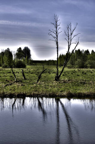 landscape Река Лама