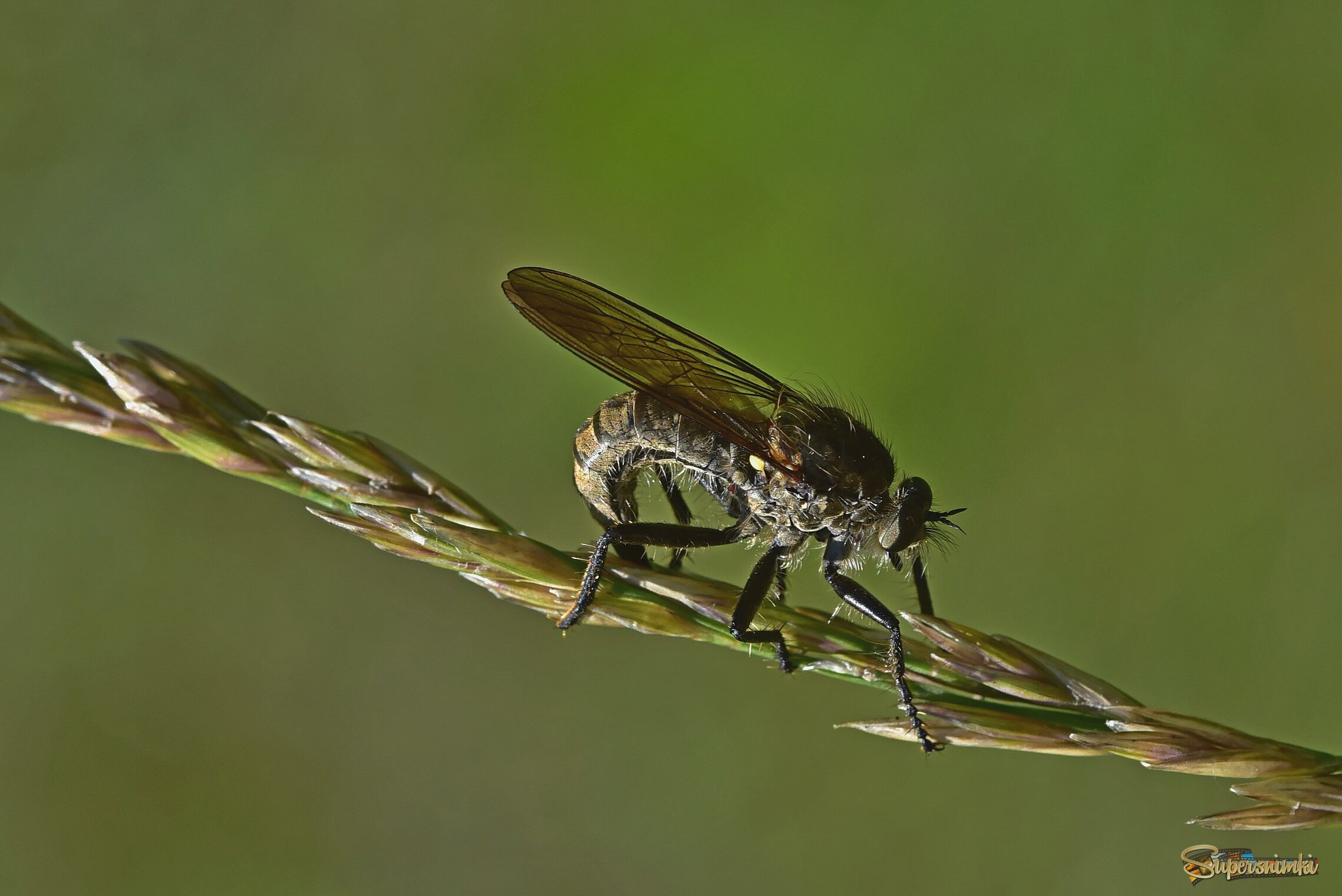 68690df0fbacdeda56dc516d