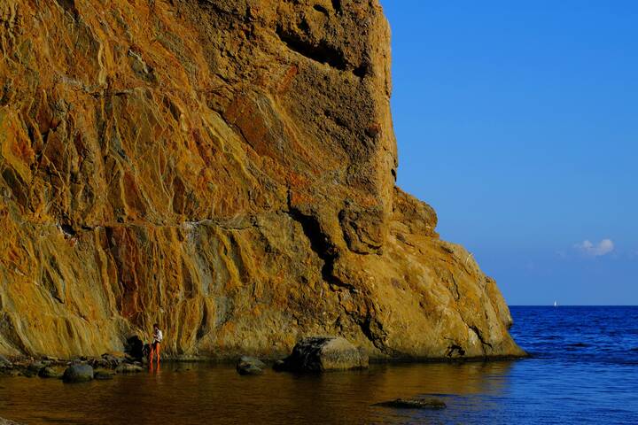 Текущая версия