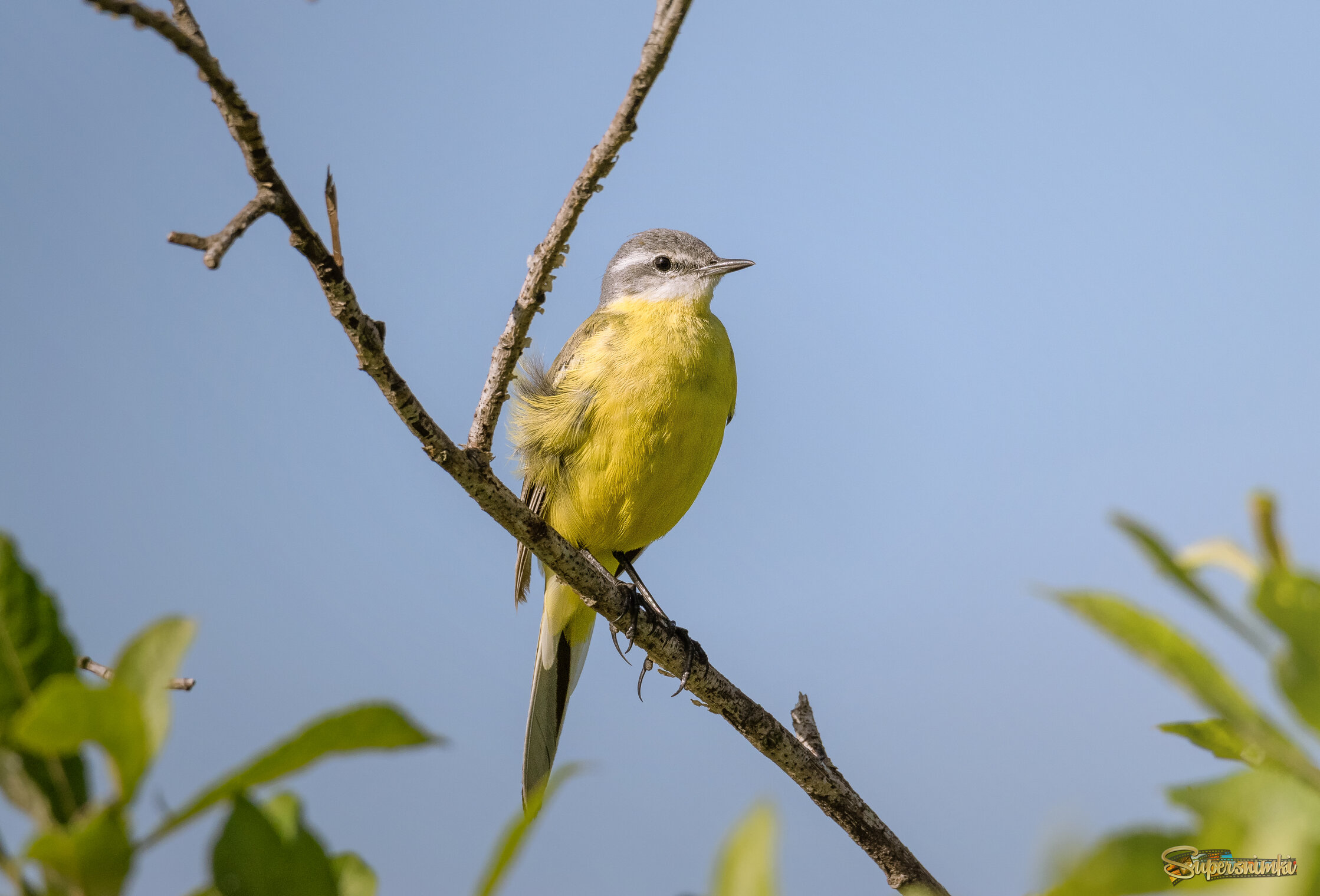 НА ТЁПЛОМ ВЕТЕРКЕ