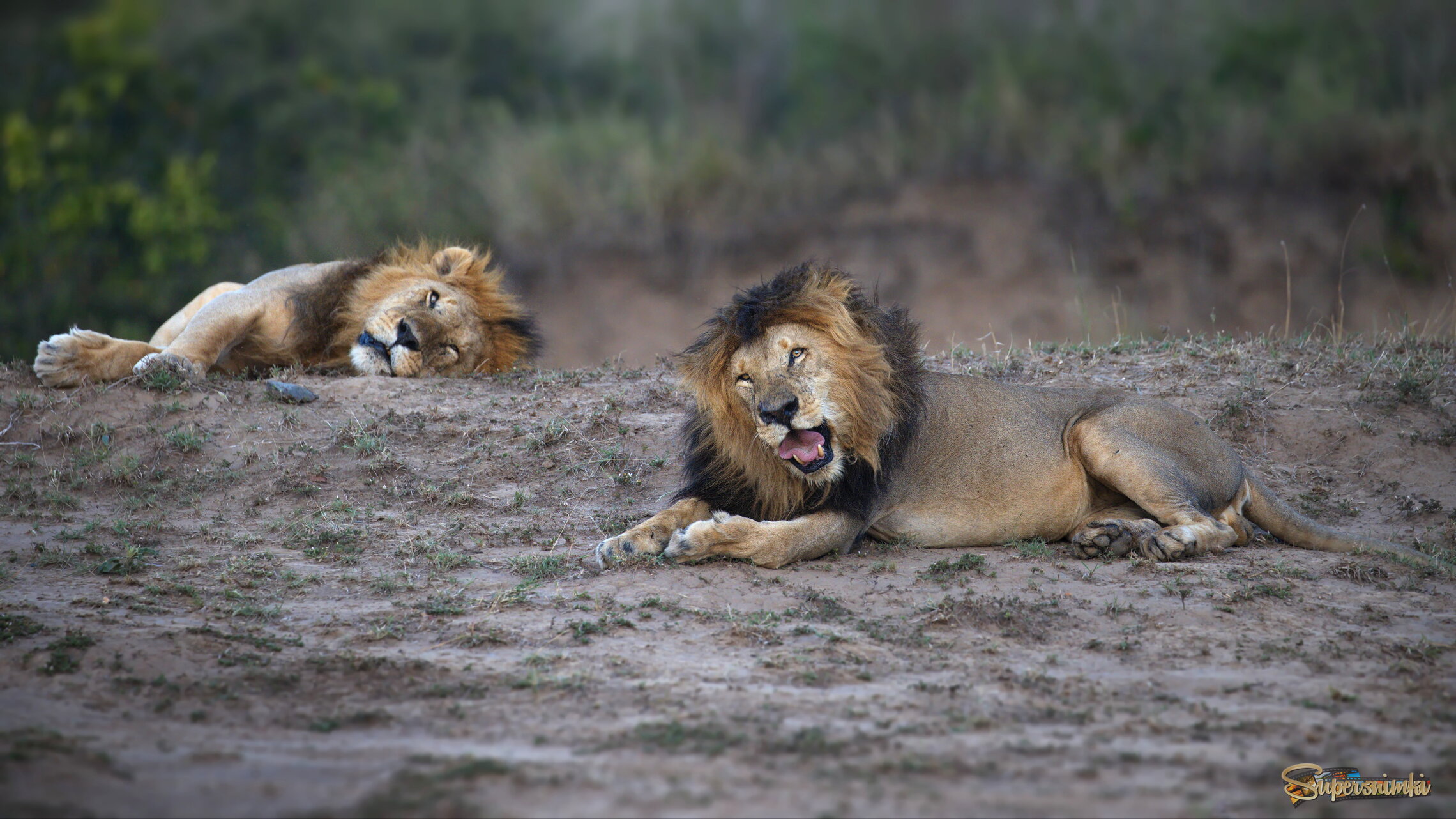 Разморённость