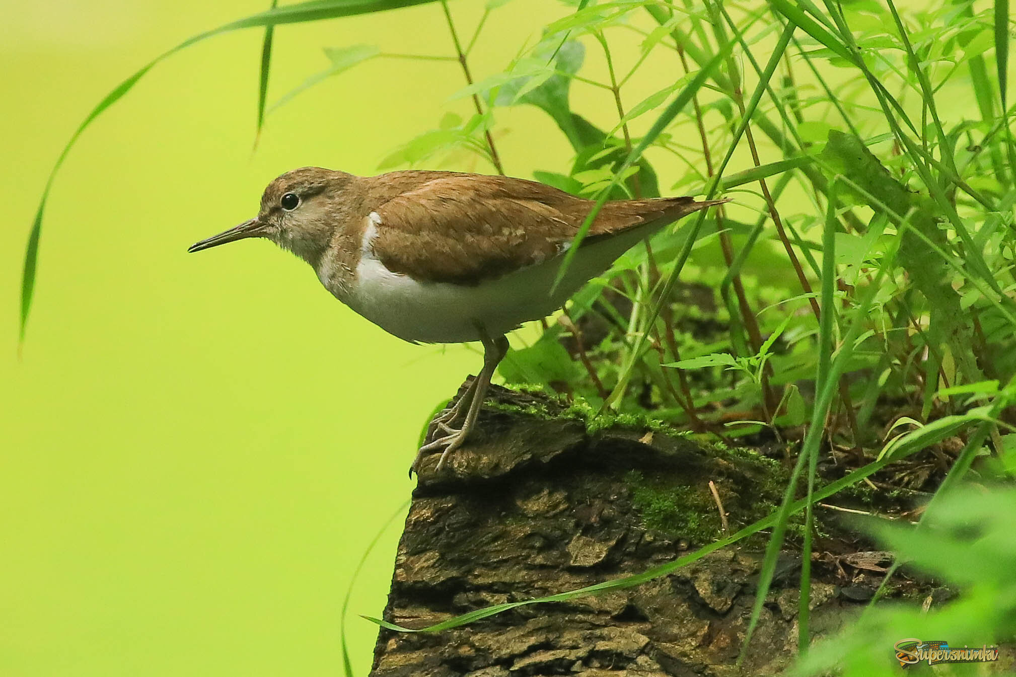 Над обрывом