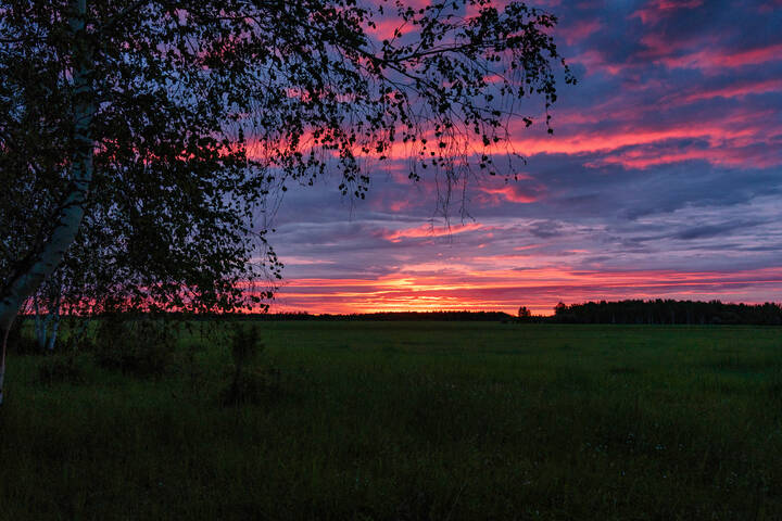 Закат в полнеба. Белая ночь