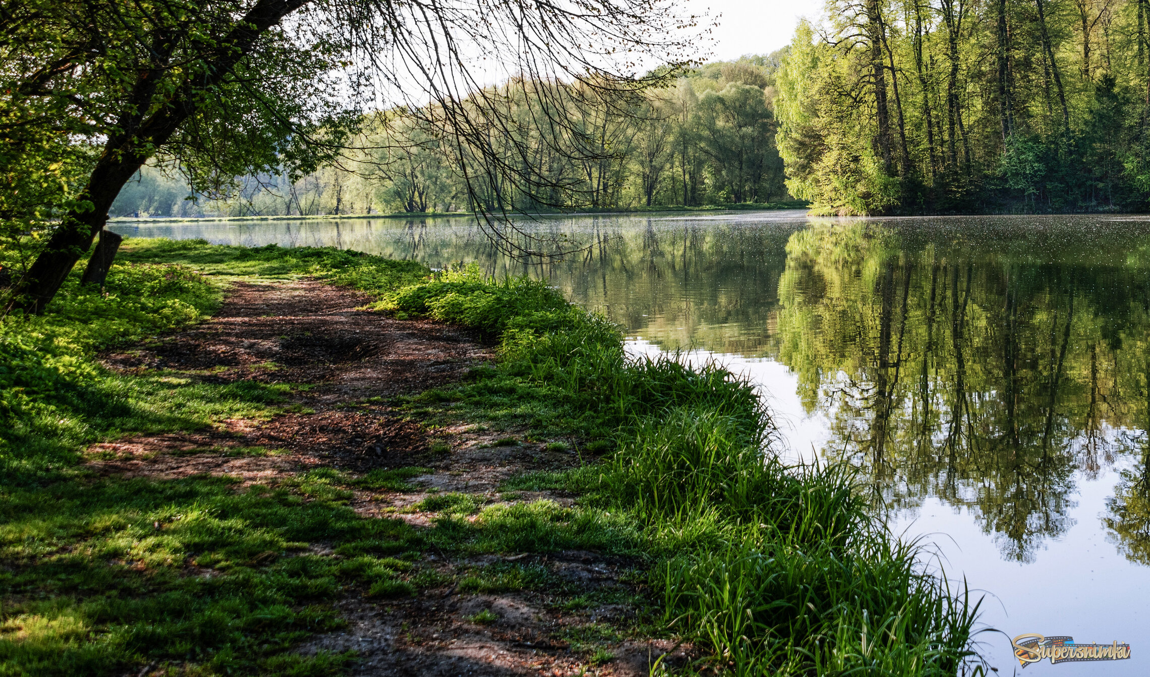 Лесное озеро.
