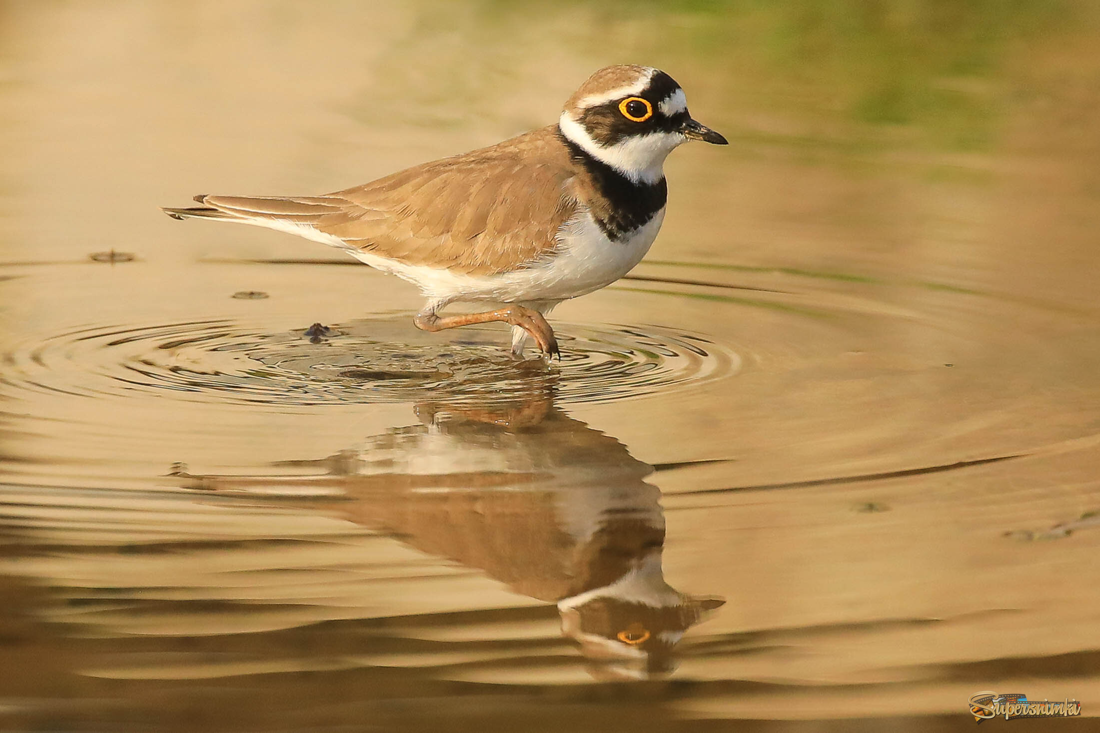 Красота в деталях