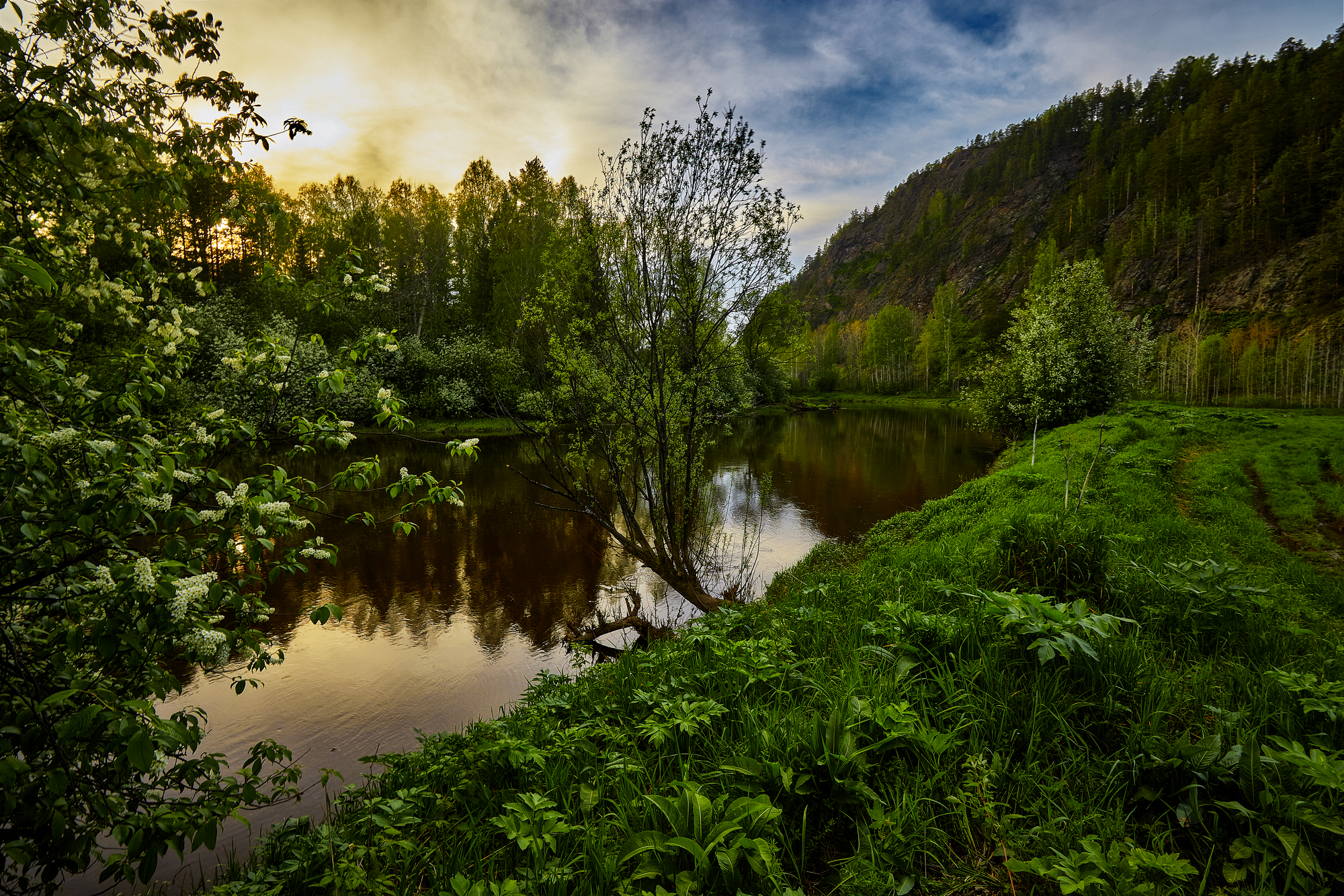 Черёмуховый вечер 2.