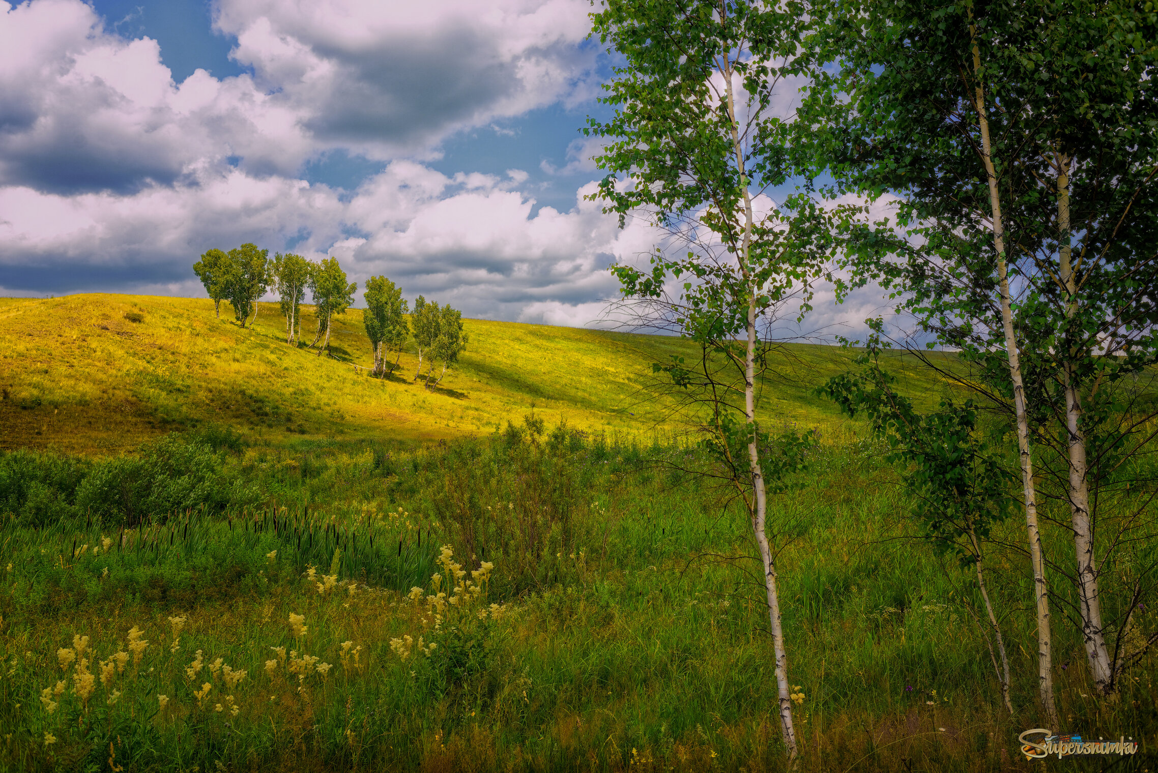 Июльский пейзаж
