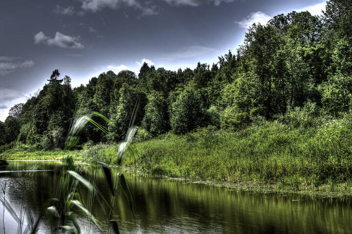 landscape Заводь реки Лама
