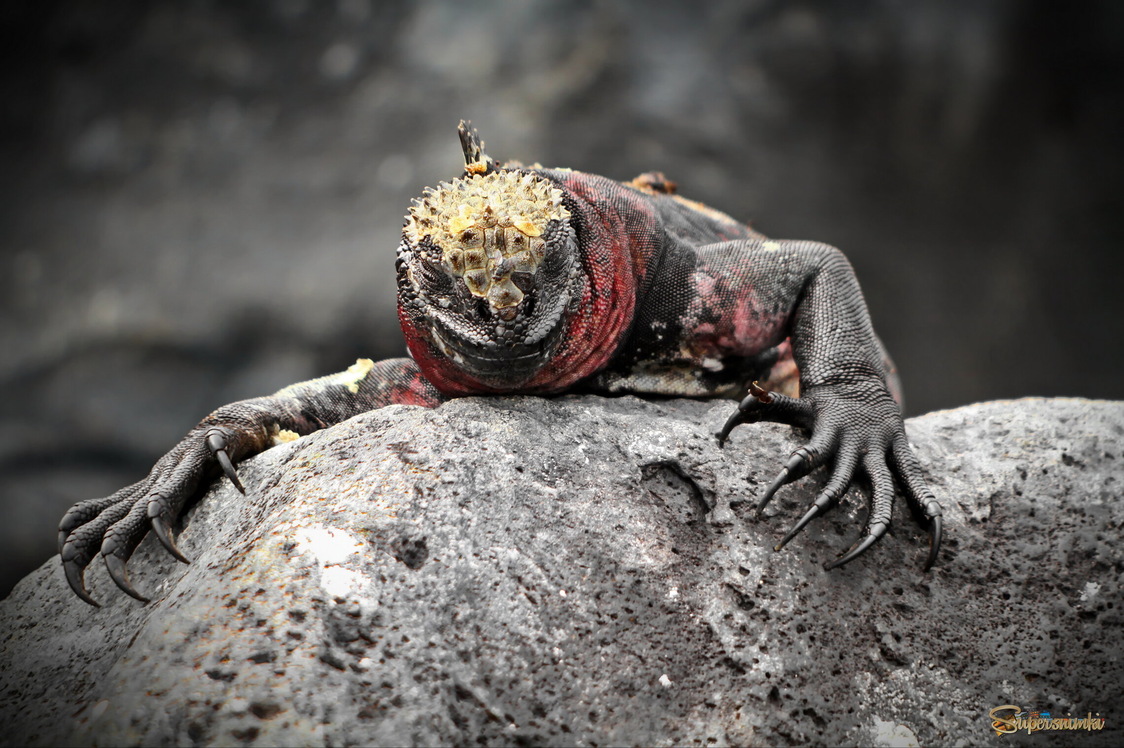 Моёёёёёёёёёё!!!