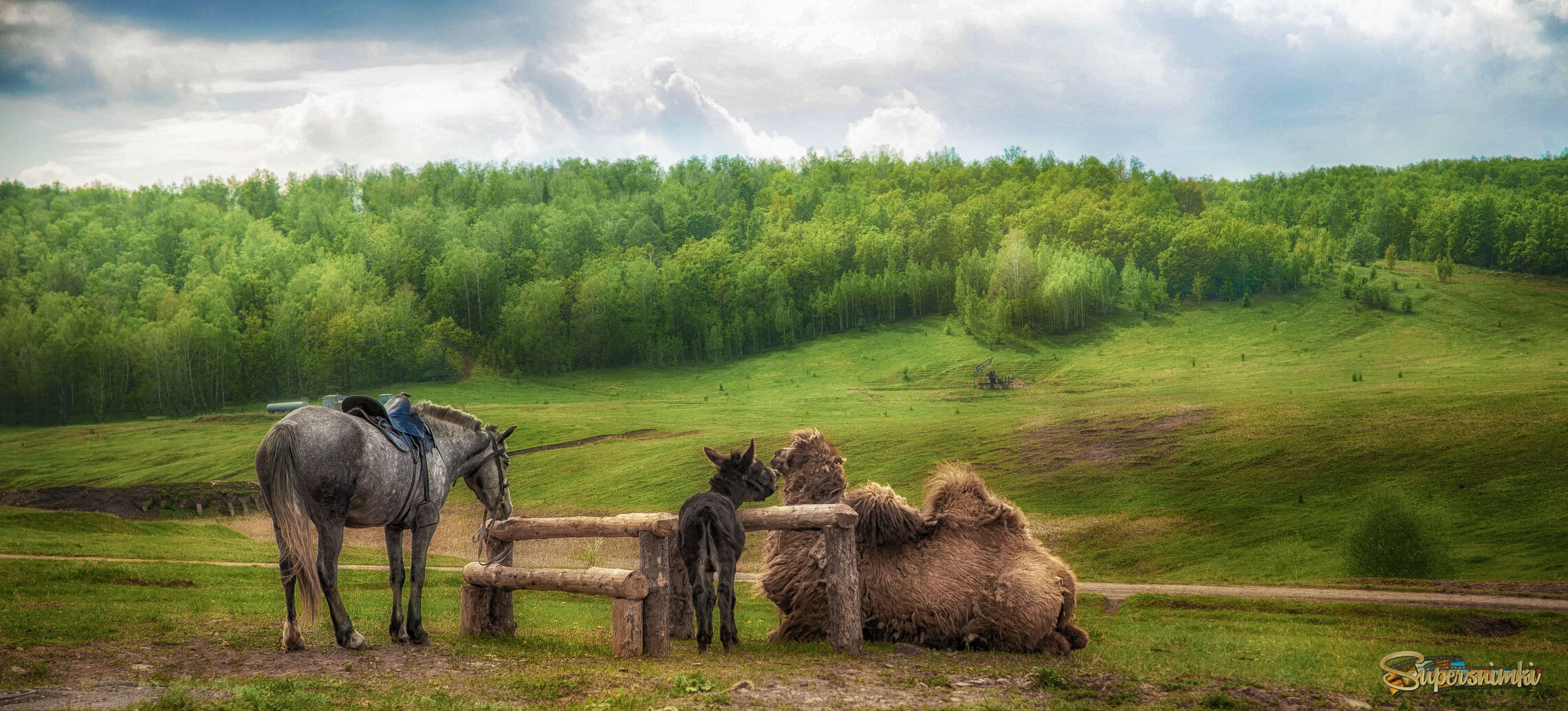На краю села Старые Туймазы