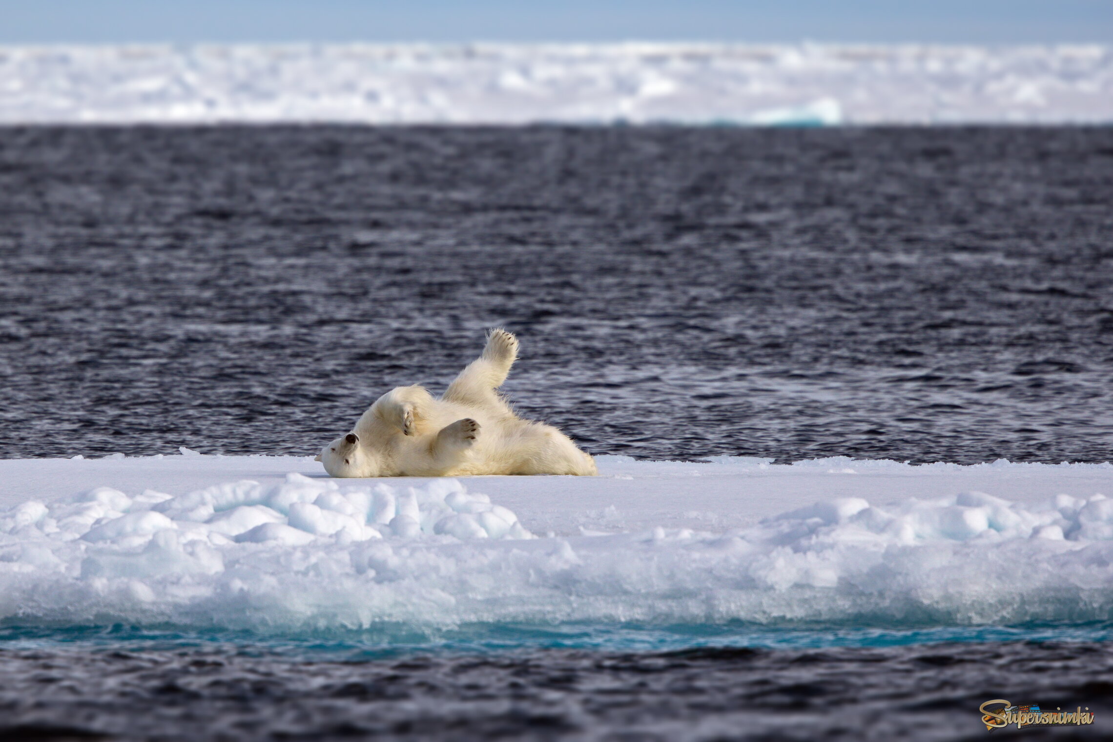 Я хохотаю от этих турыстов)!