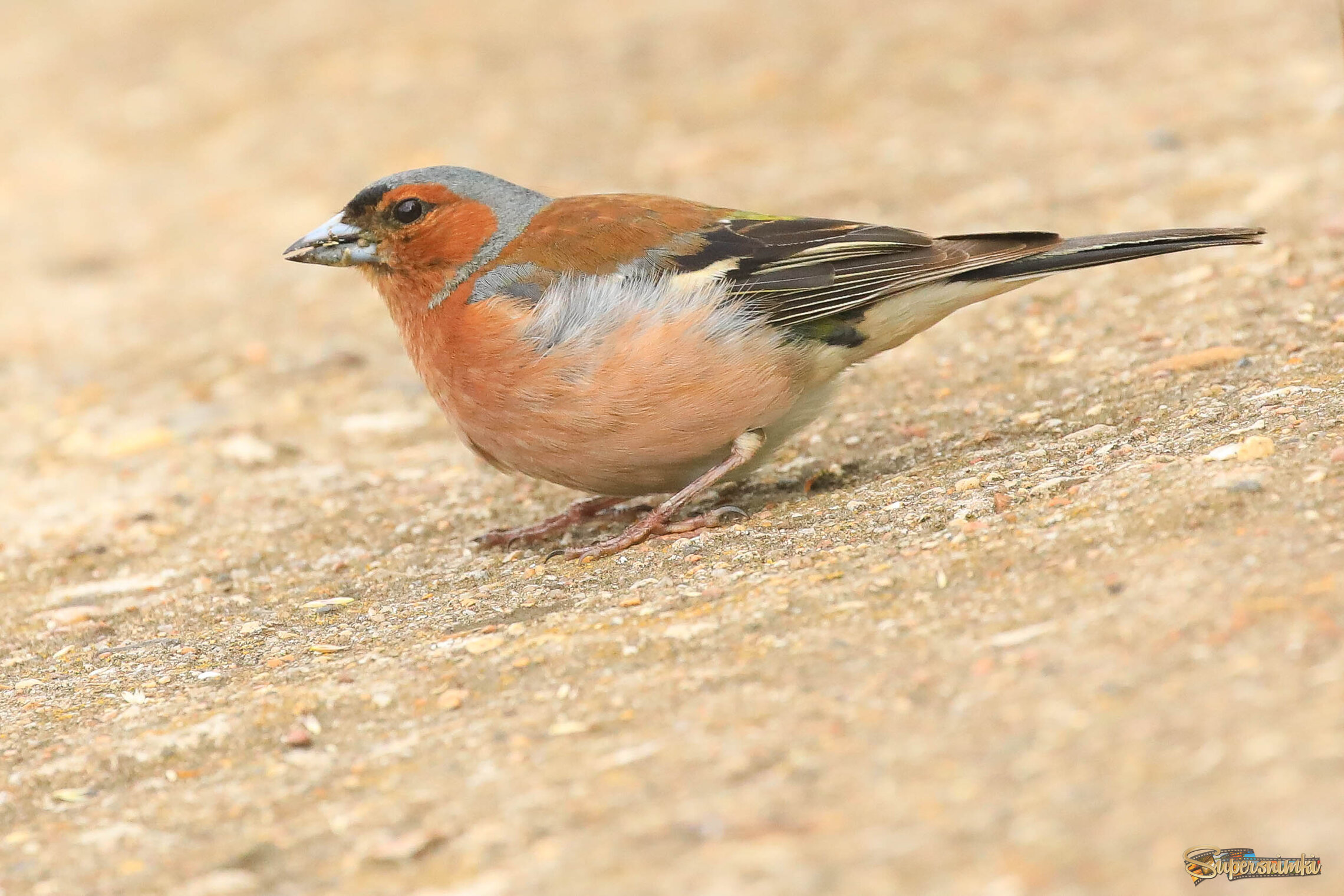 Пора подкрепиться