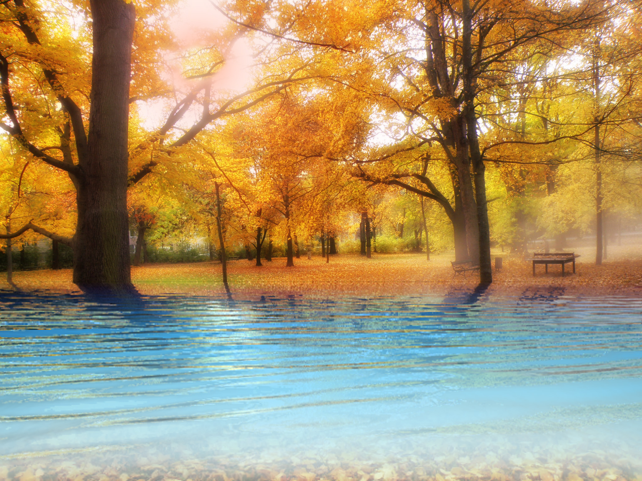 686fbb22a56cb4258edc516e