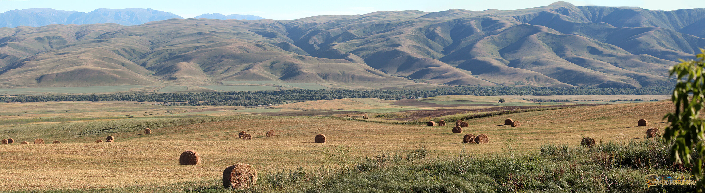 Заготовка сена