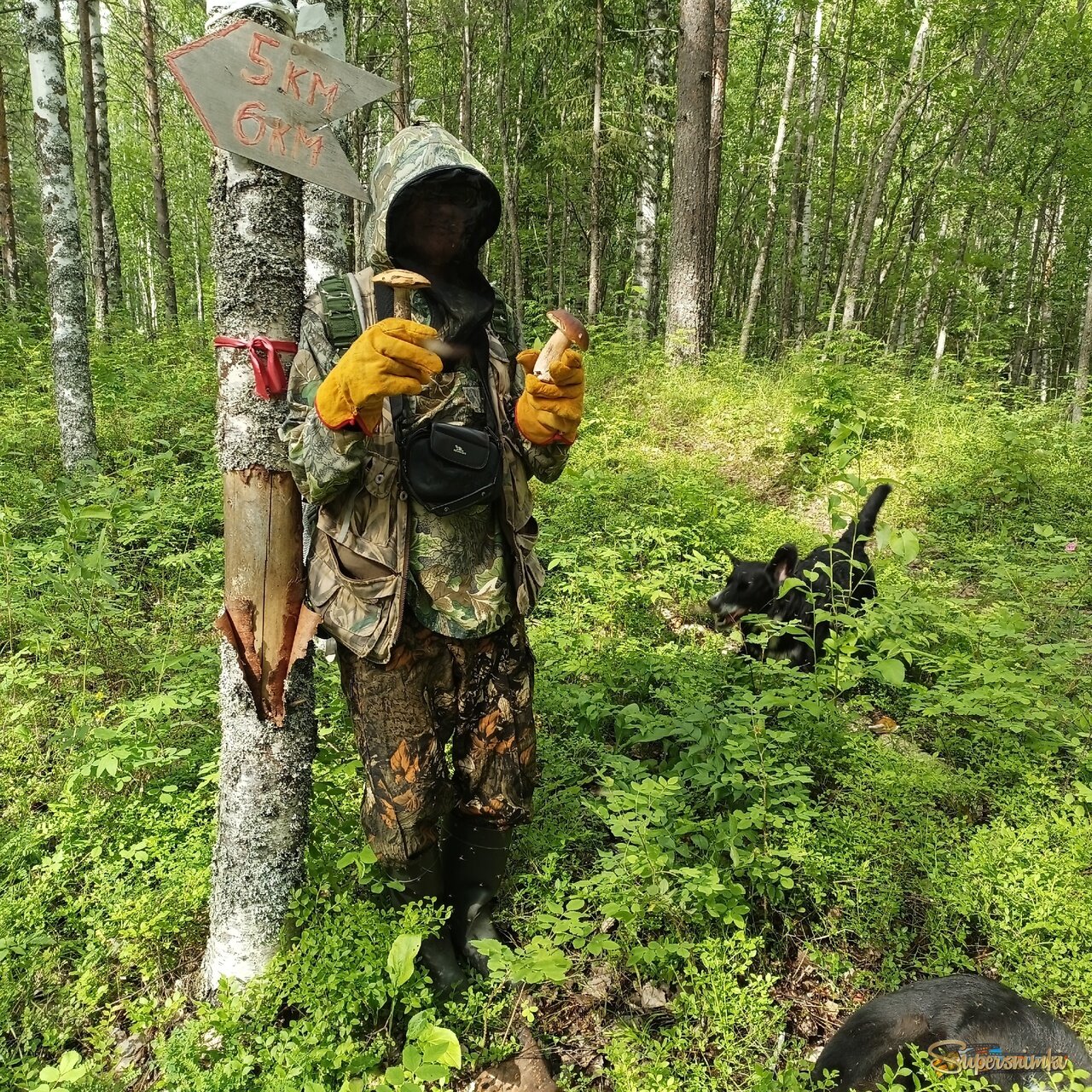 0303.07...2025.Где то...вот тут...+Агаткин хвостик..