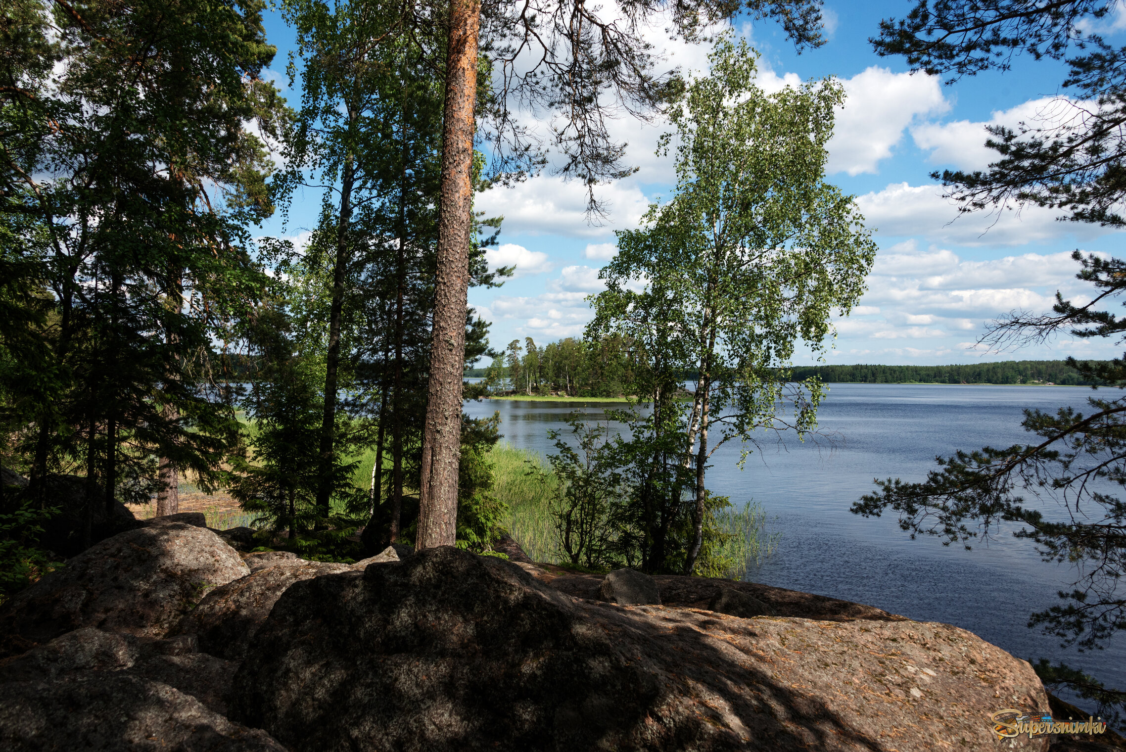 Парк Монрепо.