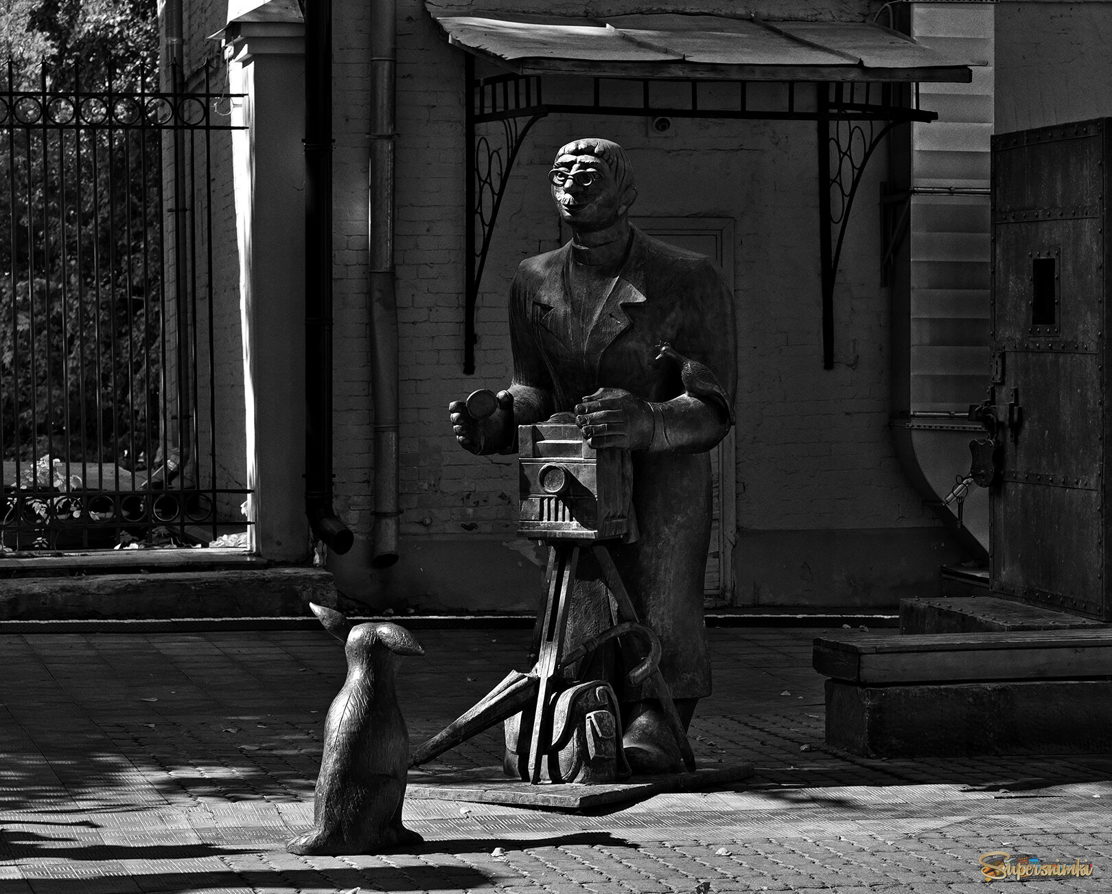 С Днём фотографа!