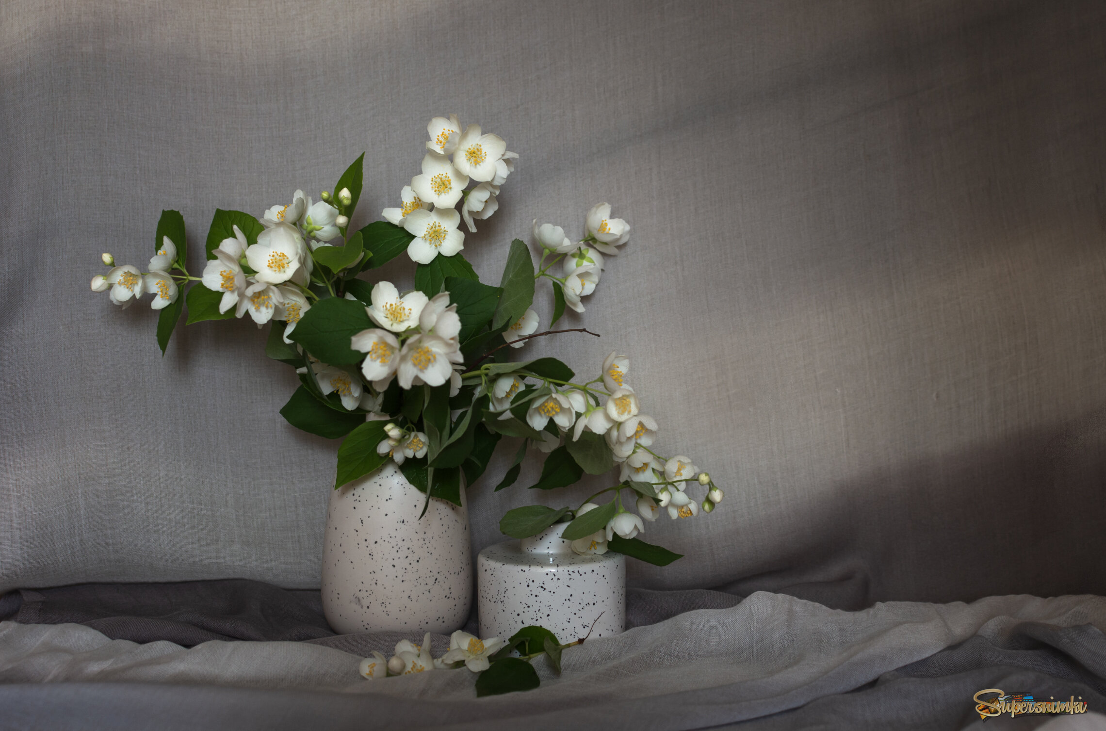 Июньский натюрморт с жасмином.