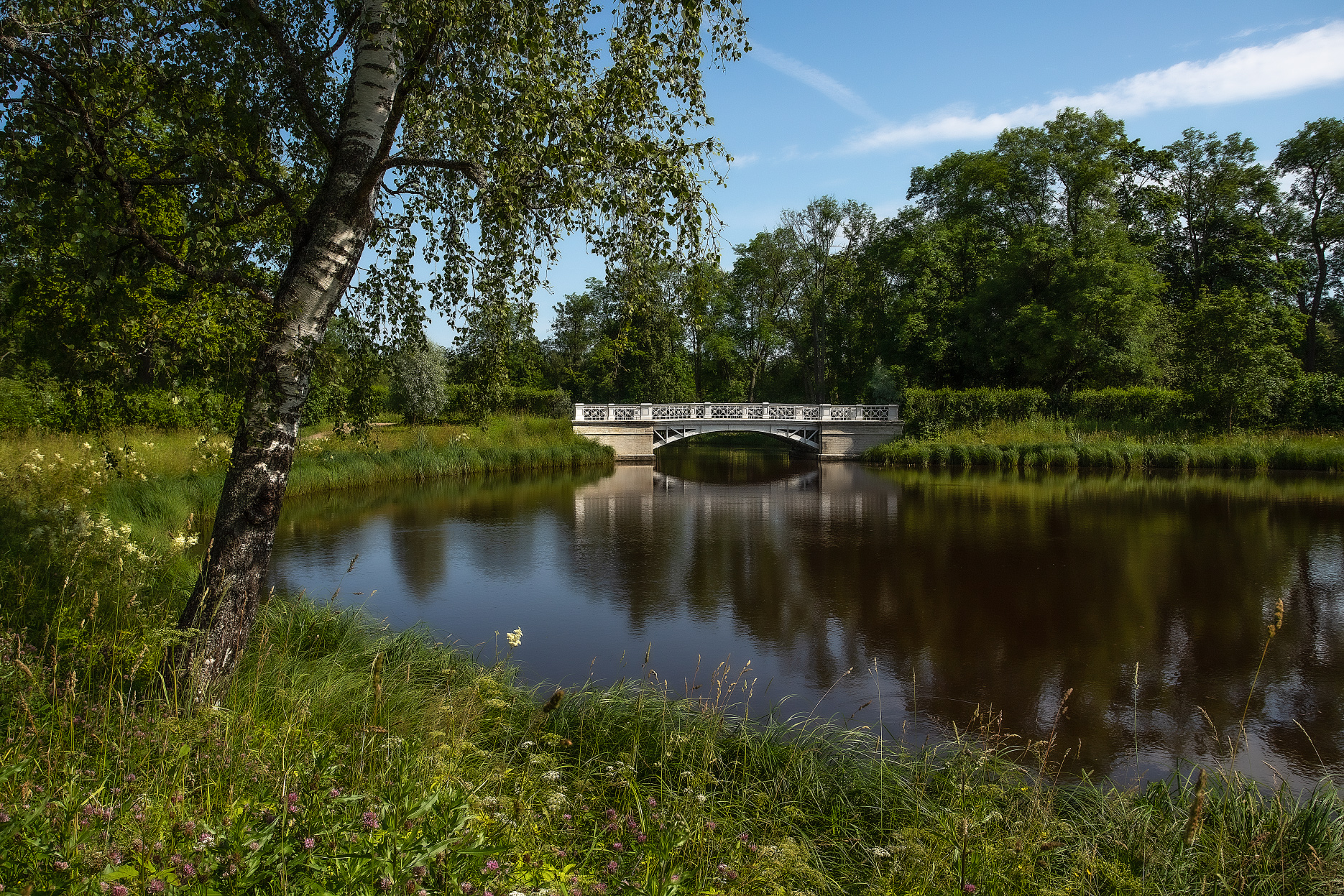 Утро Александровского парка