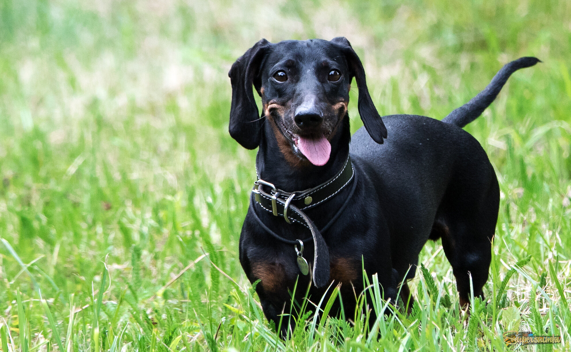 Улыбка до ушей.