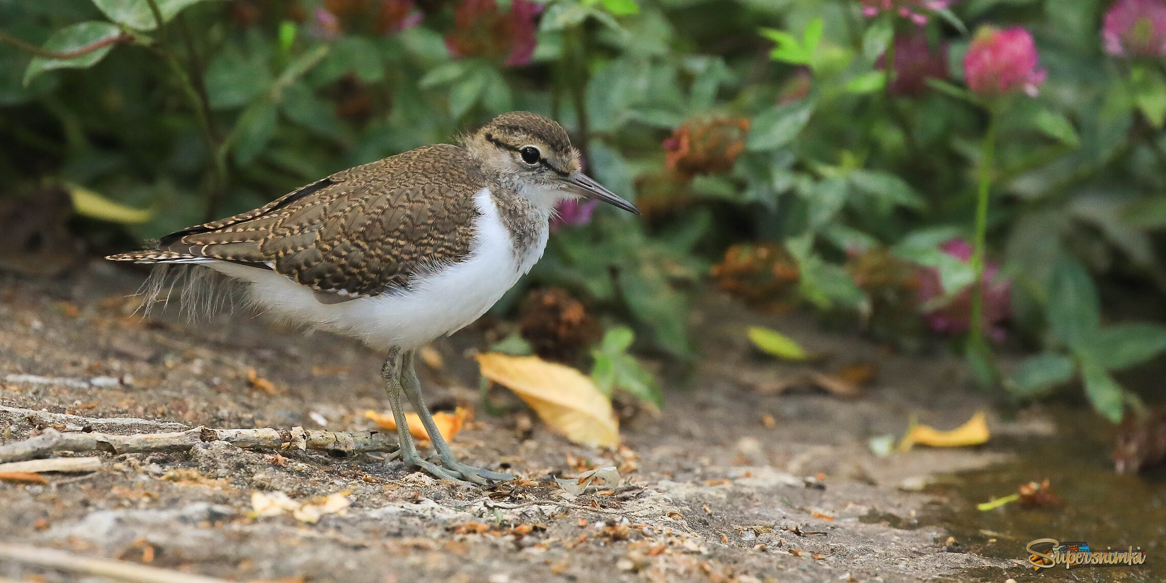 А я маленький такой!