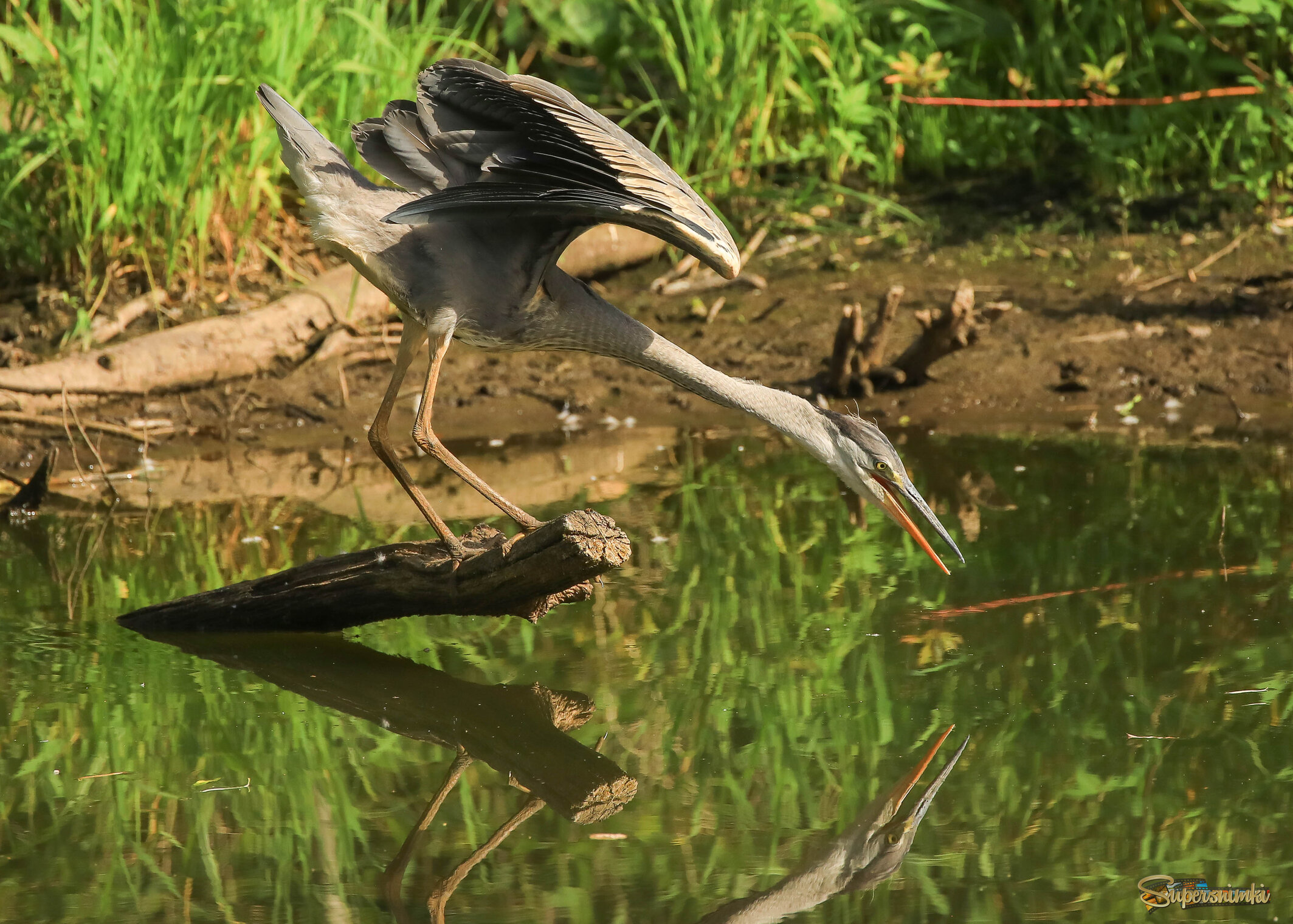 Господи, да это ж я!