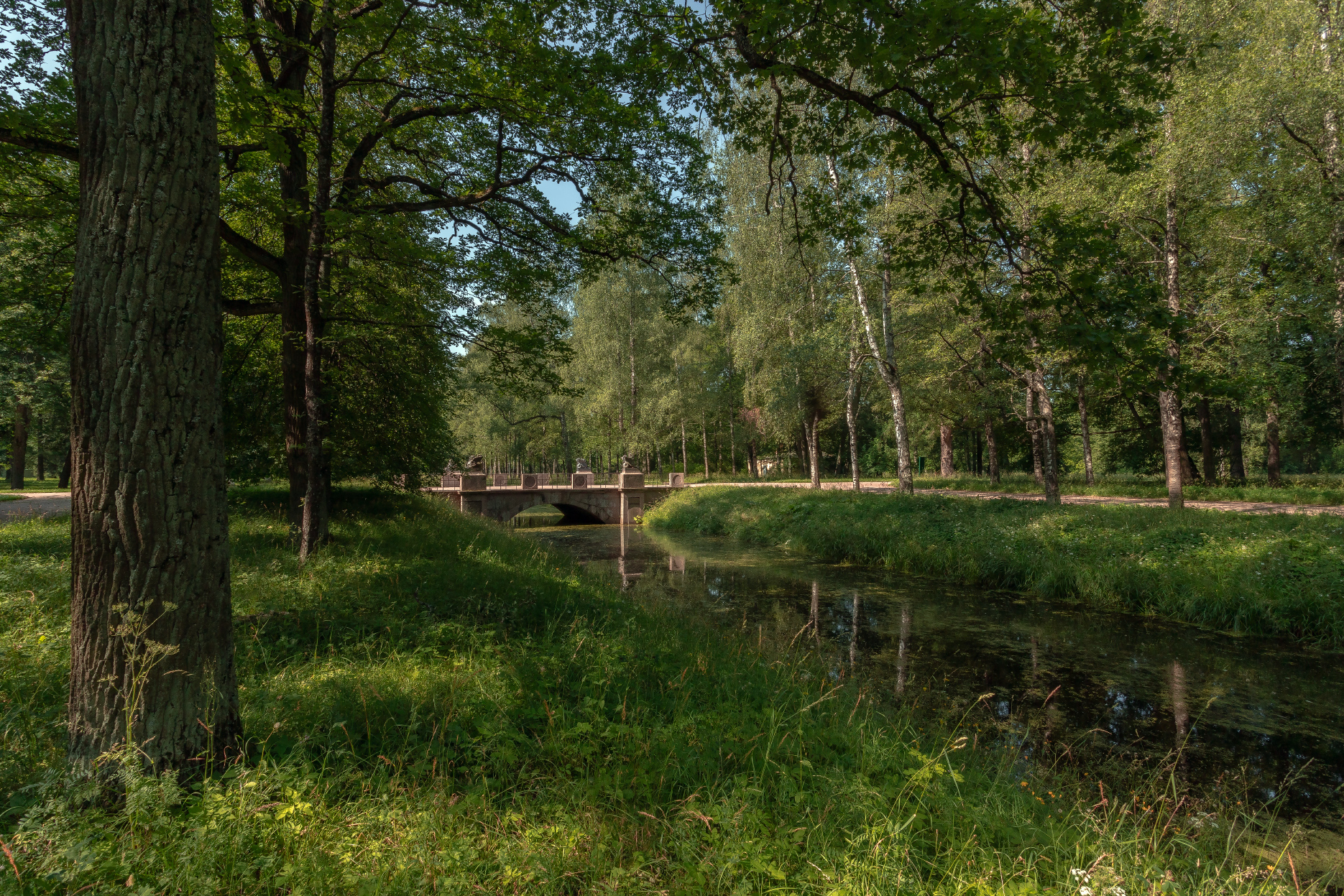 Воскресным утром