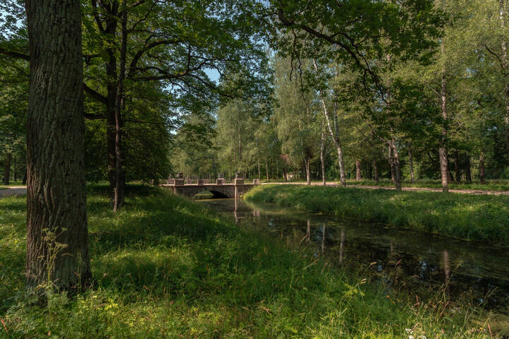 Воскресным утром