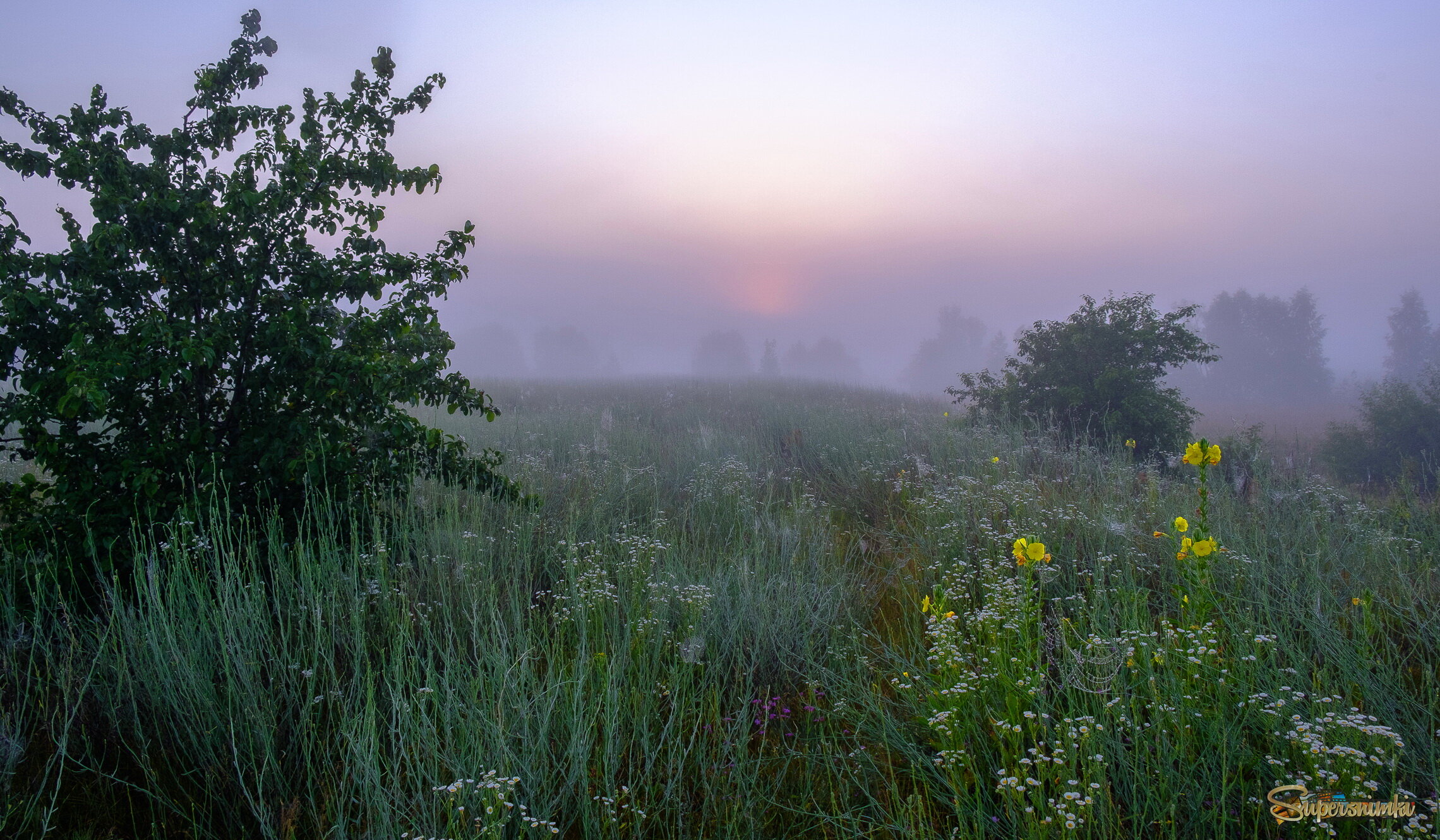 Туманным рассветом