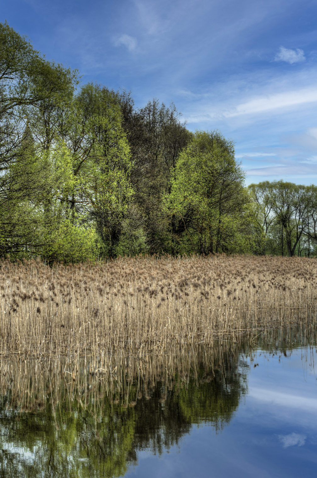 Иосифо-Волоцкий монастырь. Пруд