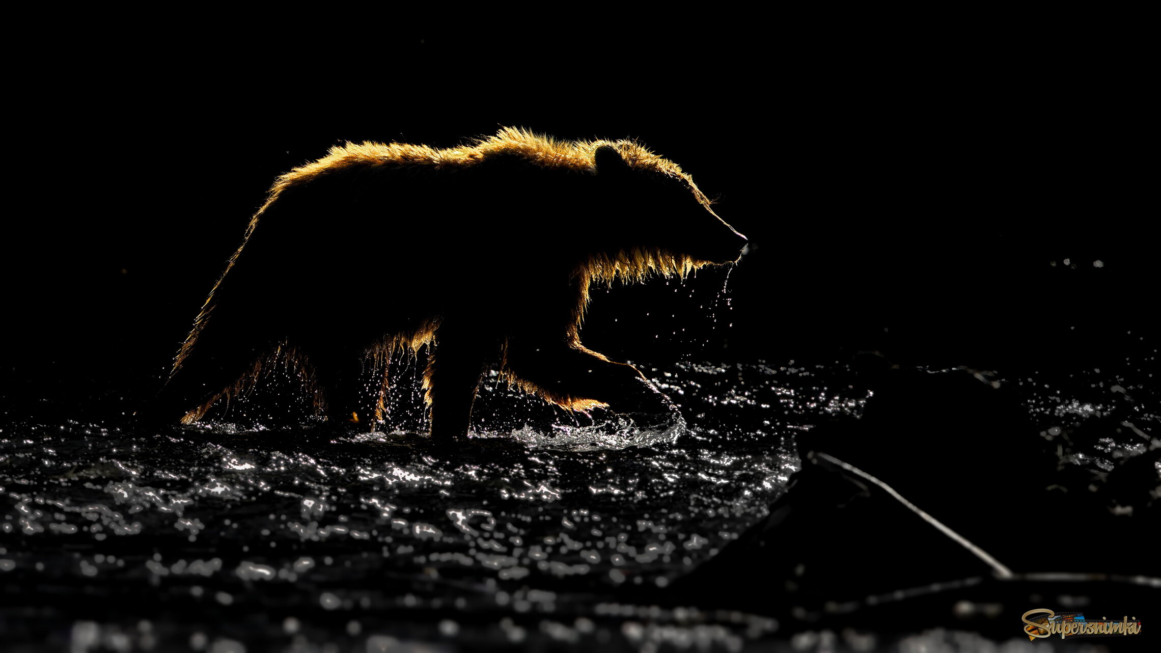 Вечерняя прогулка