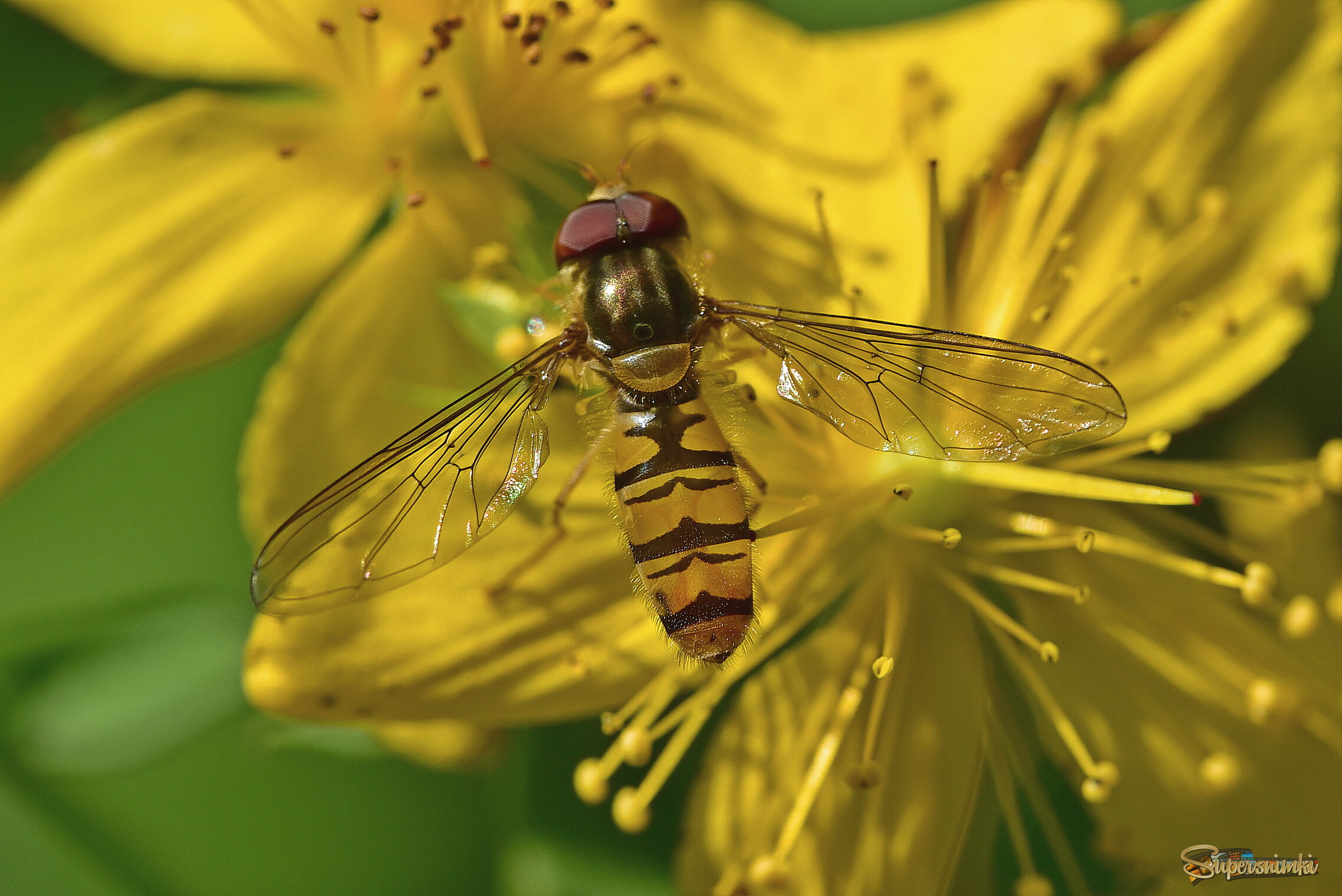 68762aa0123dc95216dc516c