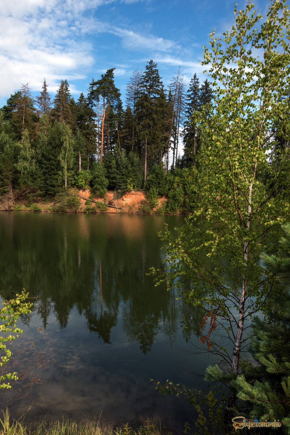 Лесное озеро.