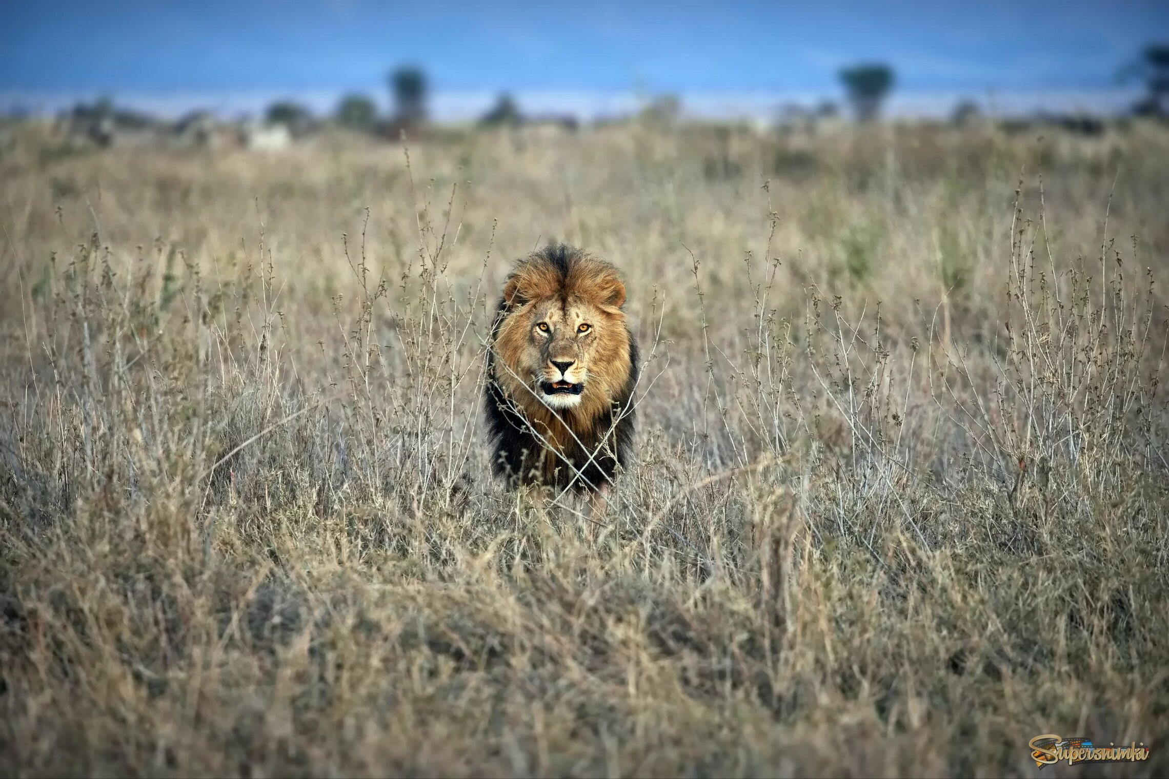 Приближение