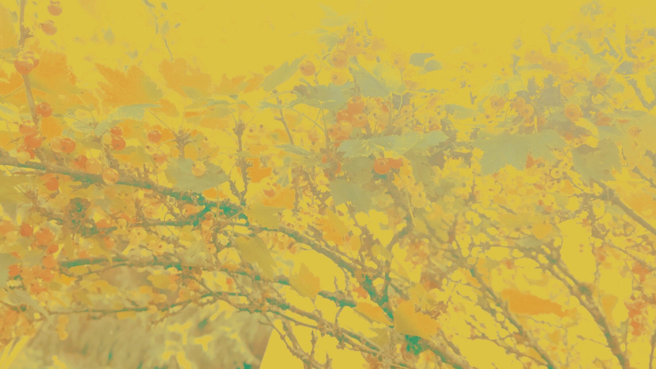 отдельное поспевание