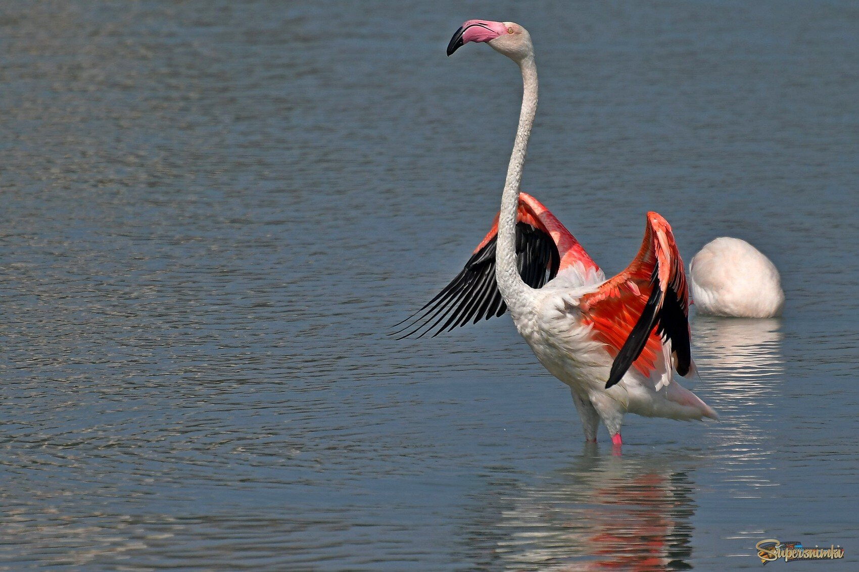 6878ce584c71ea4587dc516d