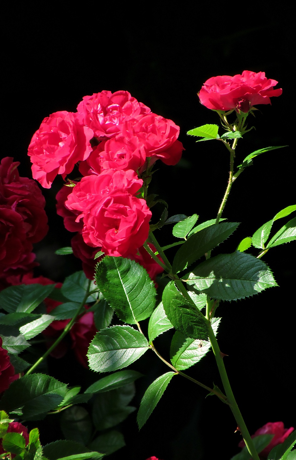 Серия "Весенняя"