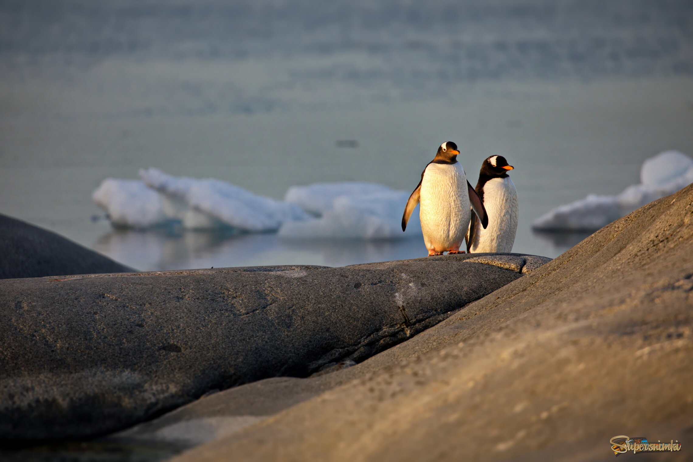Погреться перед закатом