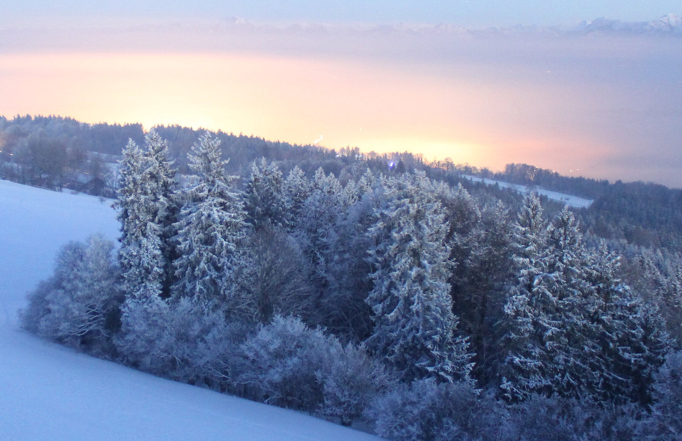 687ce962d74657bb76dc516c