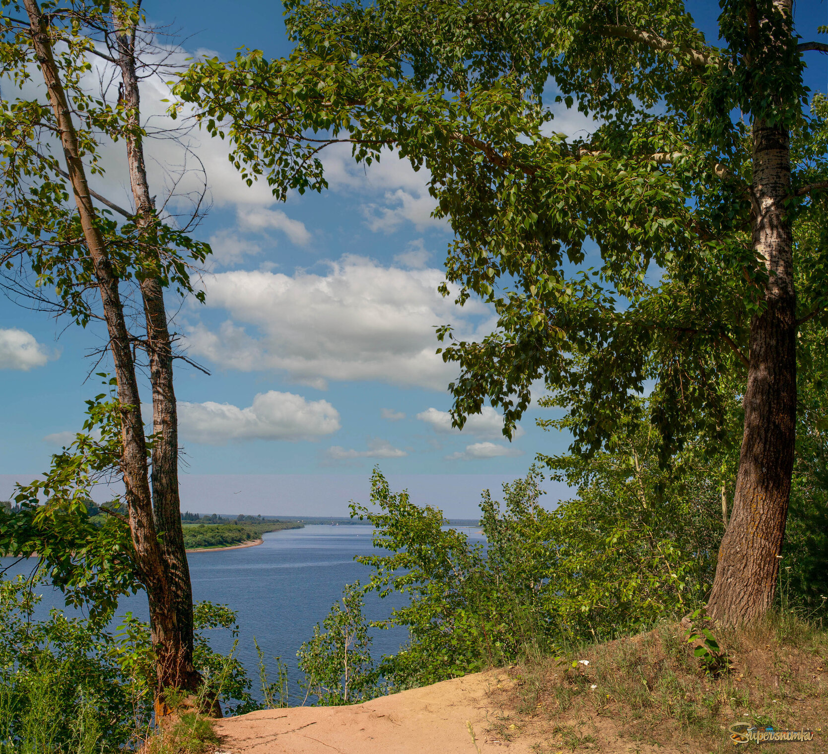 Тёплый летний день  