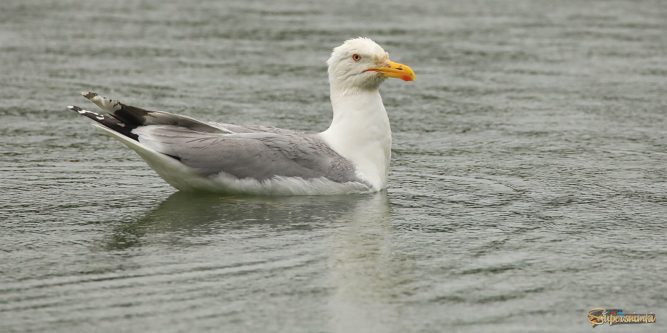 Погодка - дрянь! 
