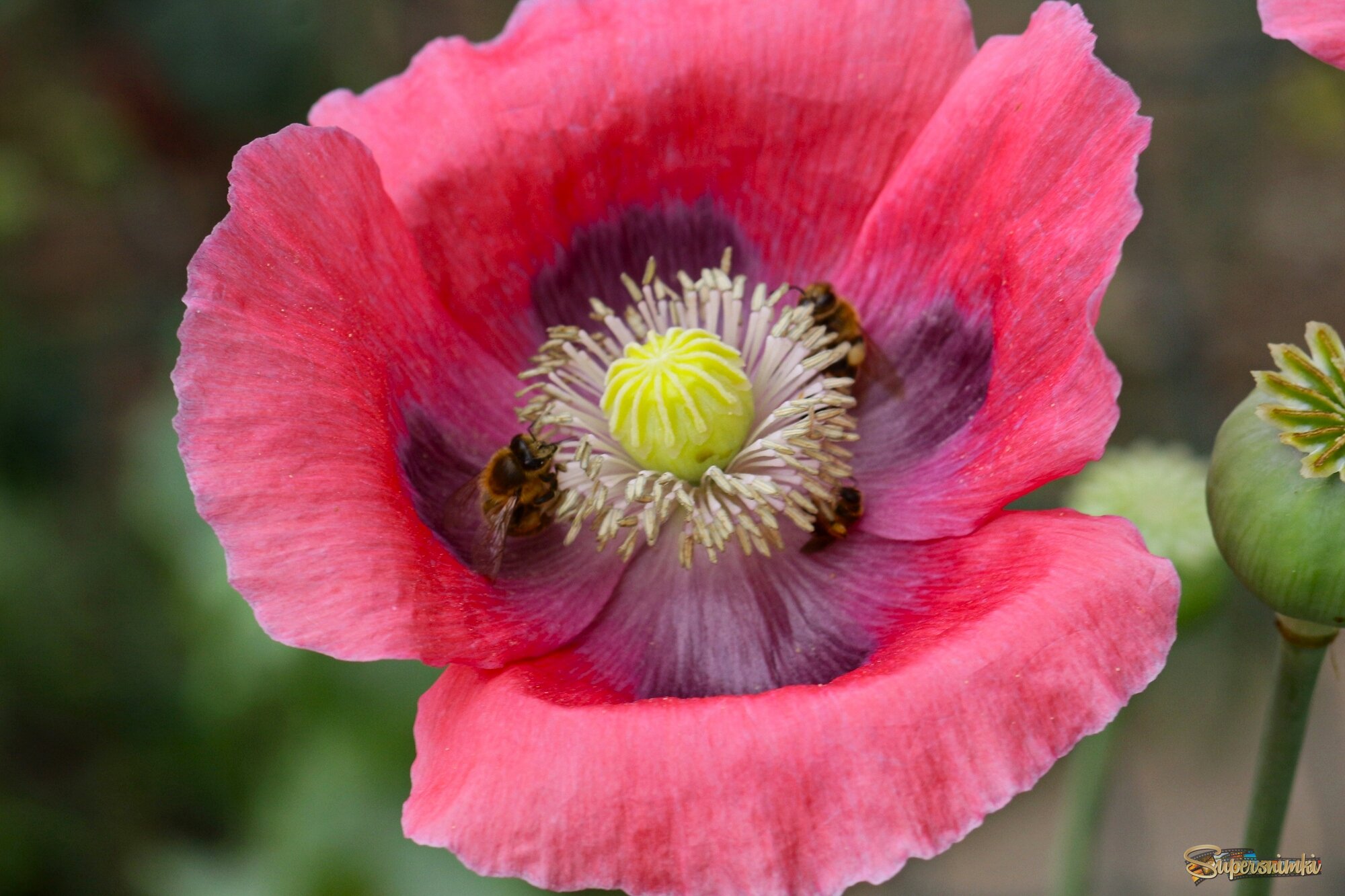 Доброе утро