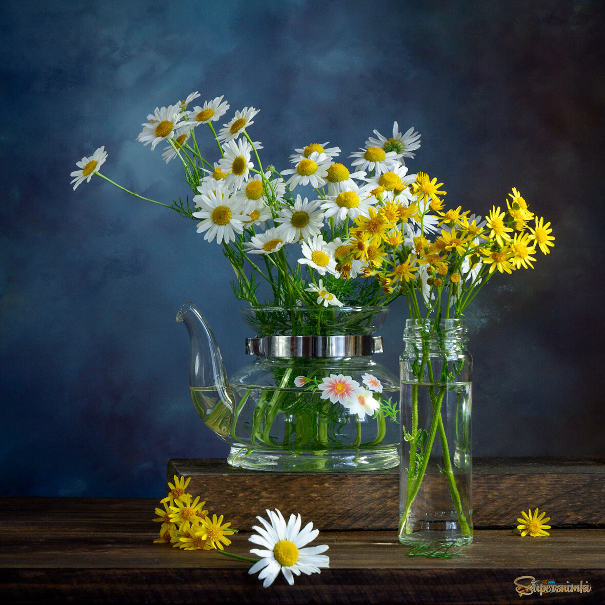 Ромашки и крестовники