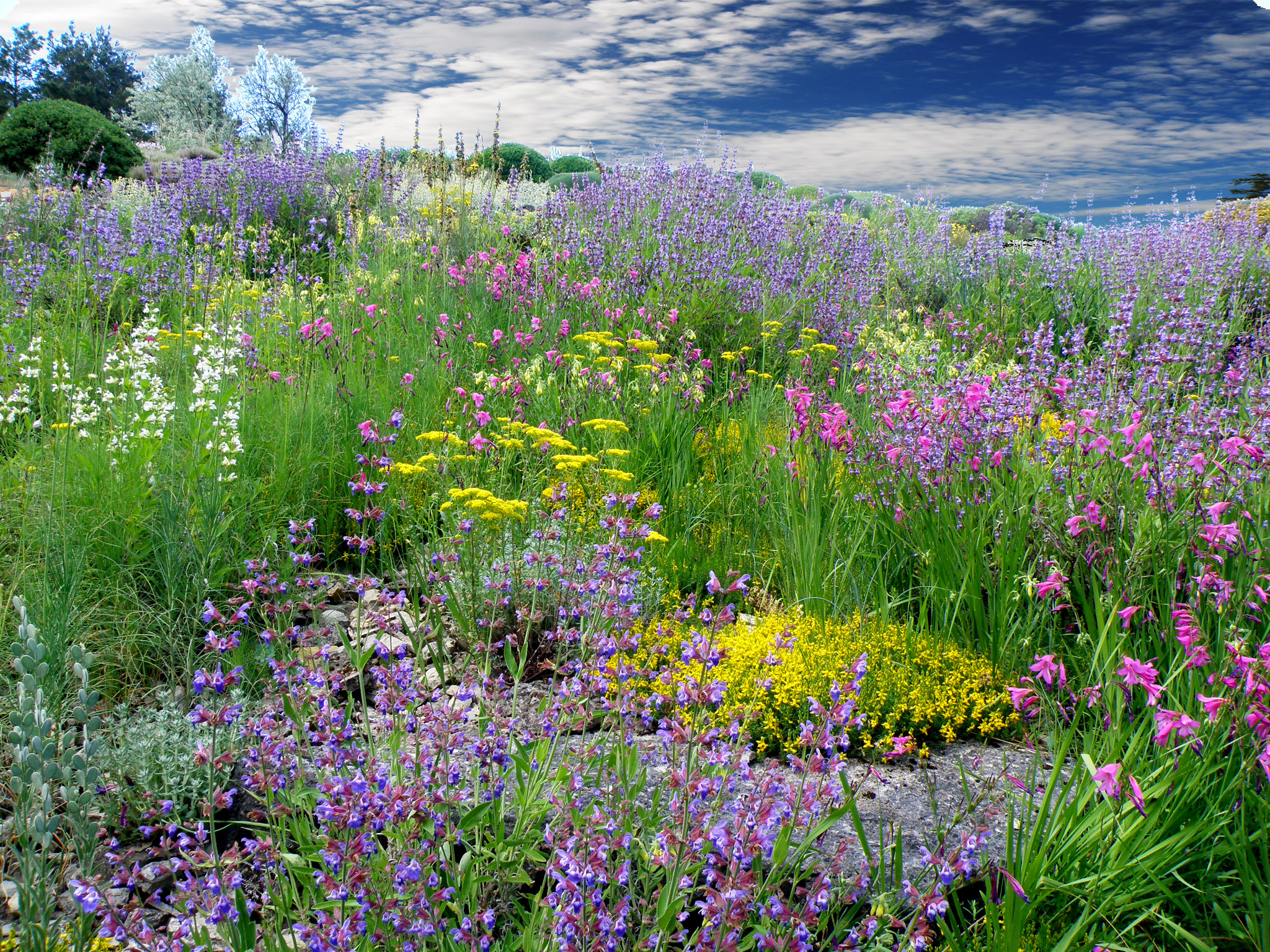 68808acb927ba132b4dc516c