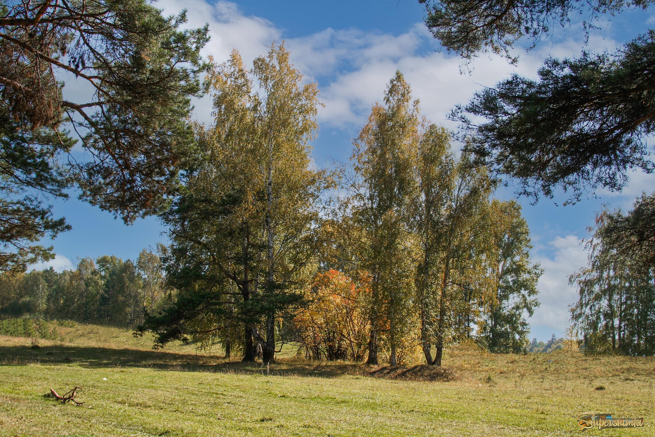 Приметы Осени