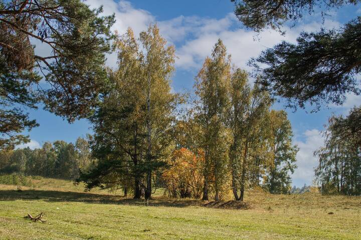 Приметы Осени