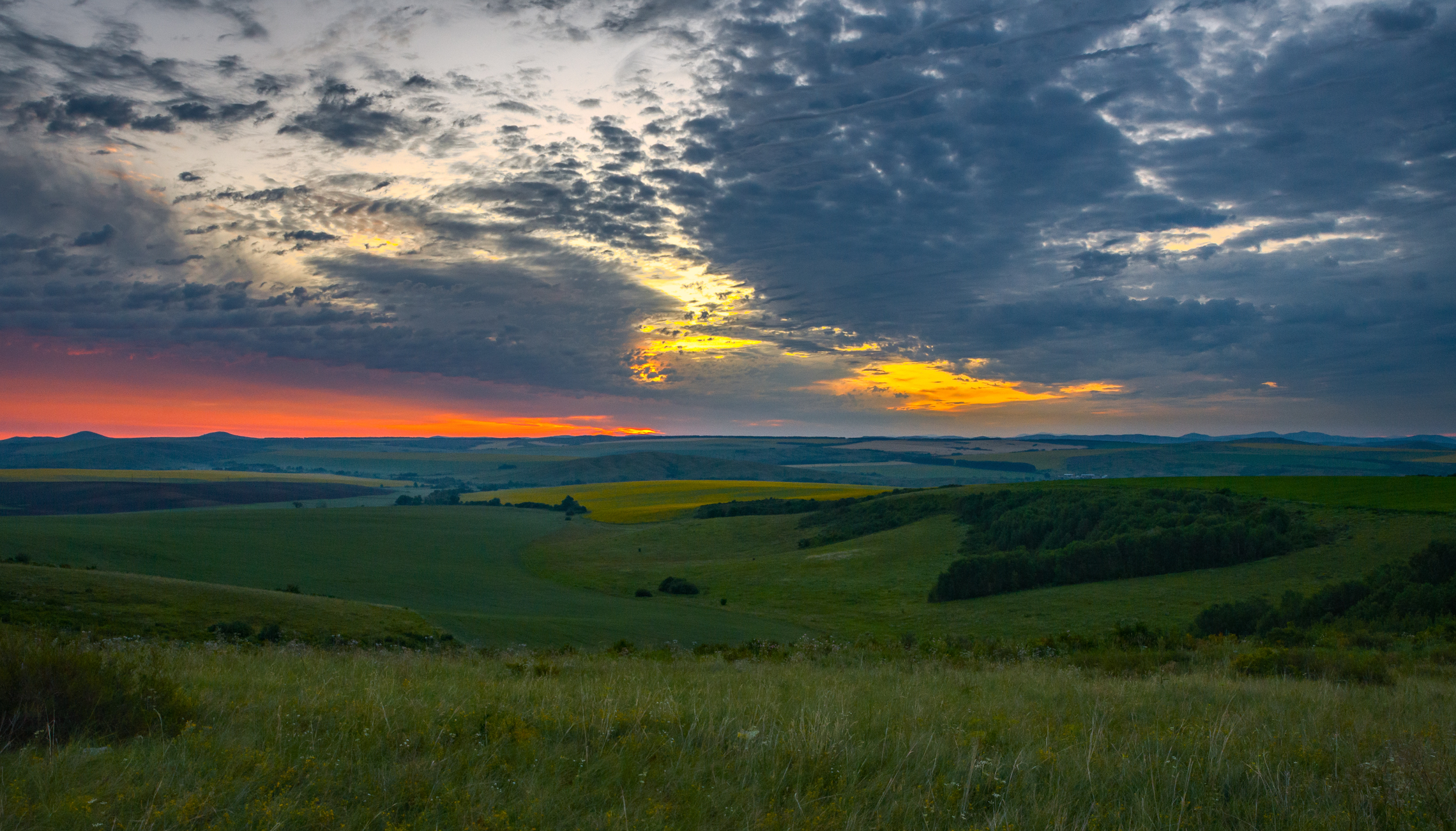 Предрассветная