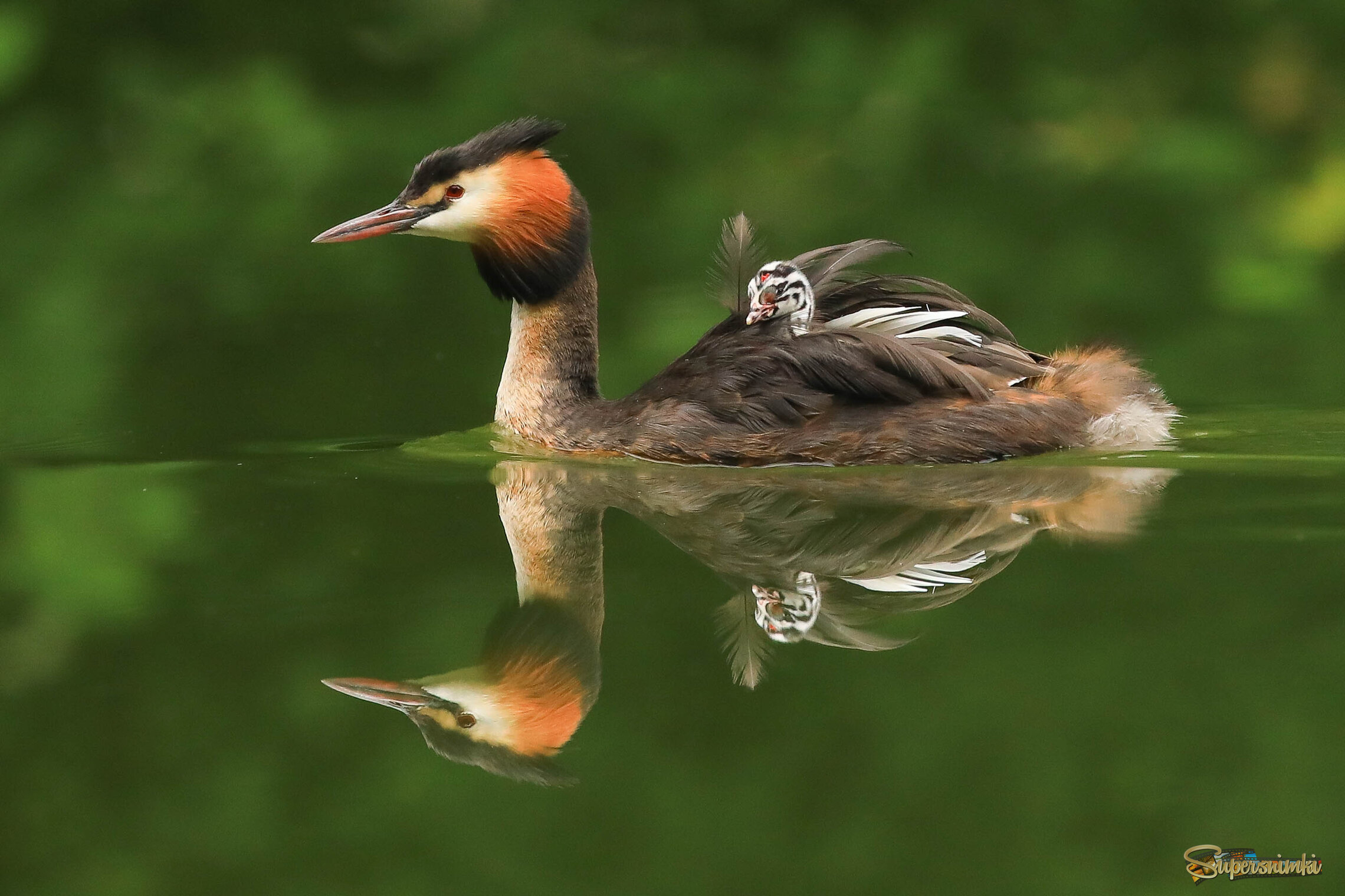 Путешествуя бизнес-классом