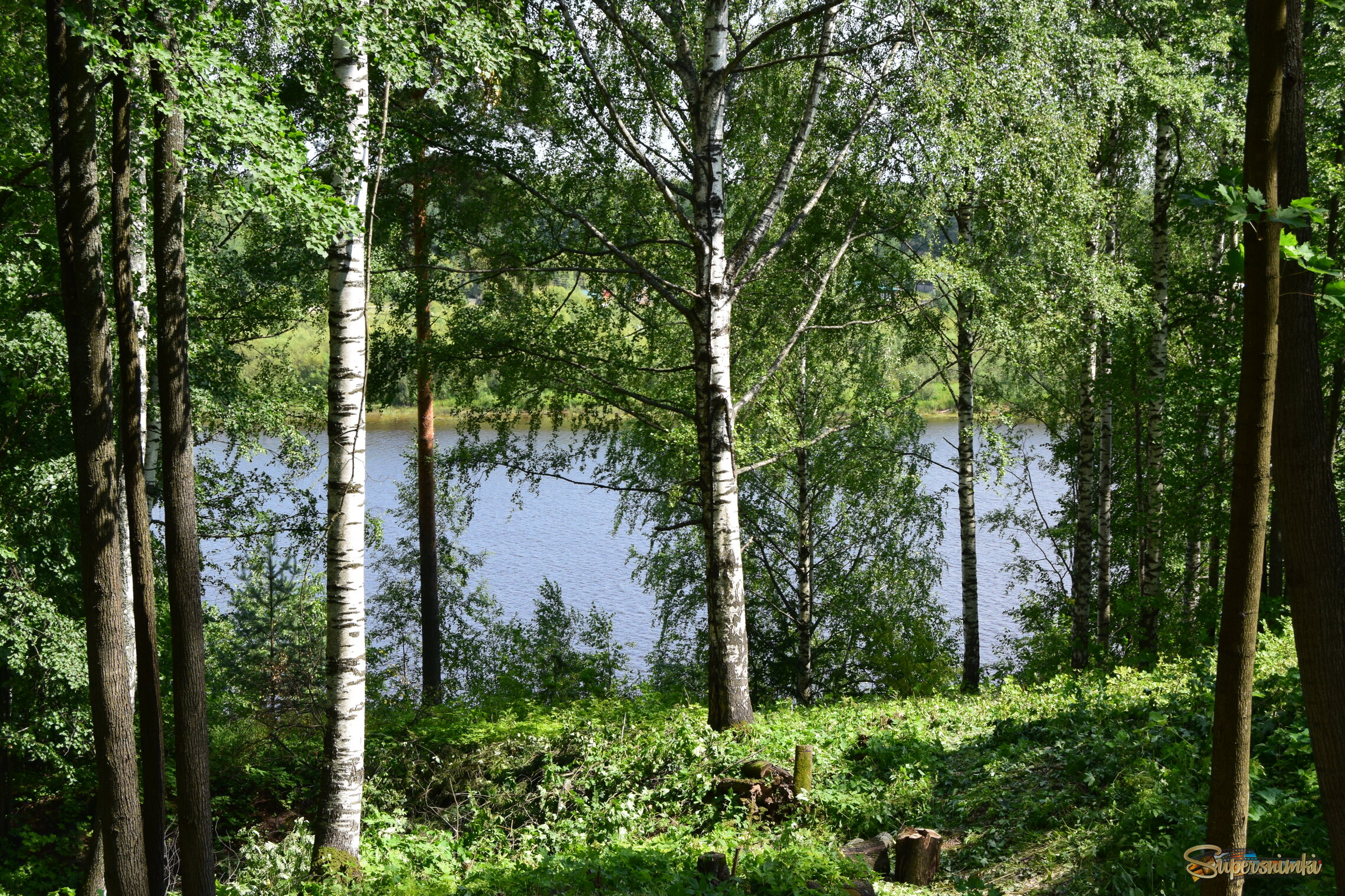 6880bc25511f83621fdc516d