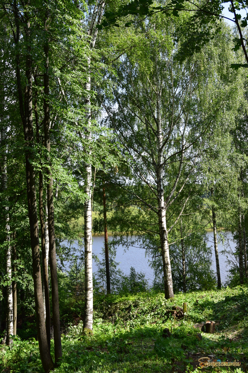 6880bc3475dcfc5ec7dc516f